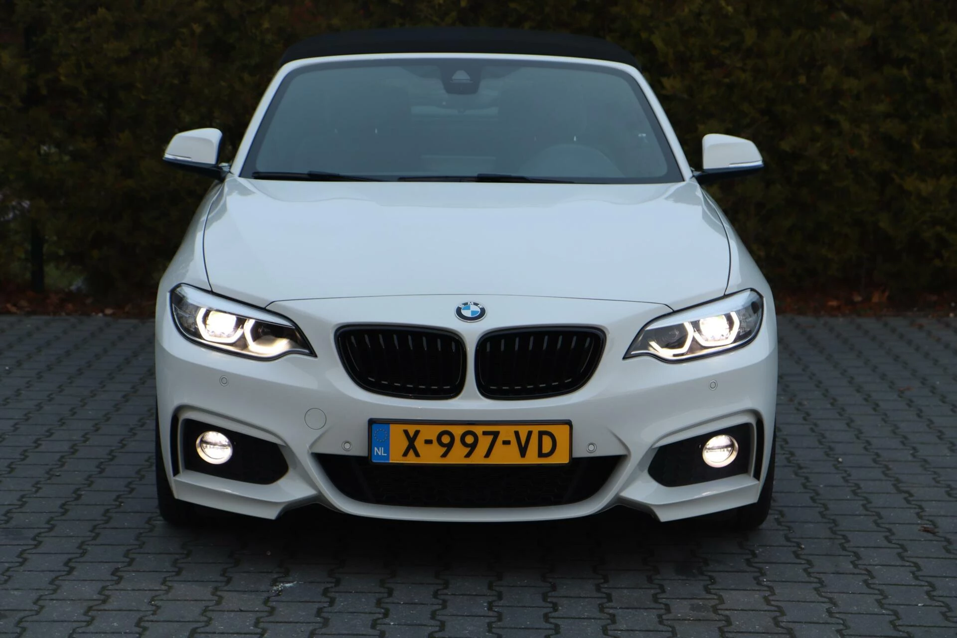 Hoofdafbeelding BMW 2 Serie