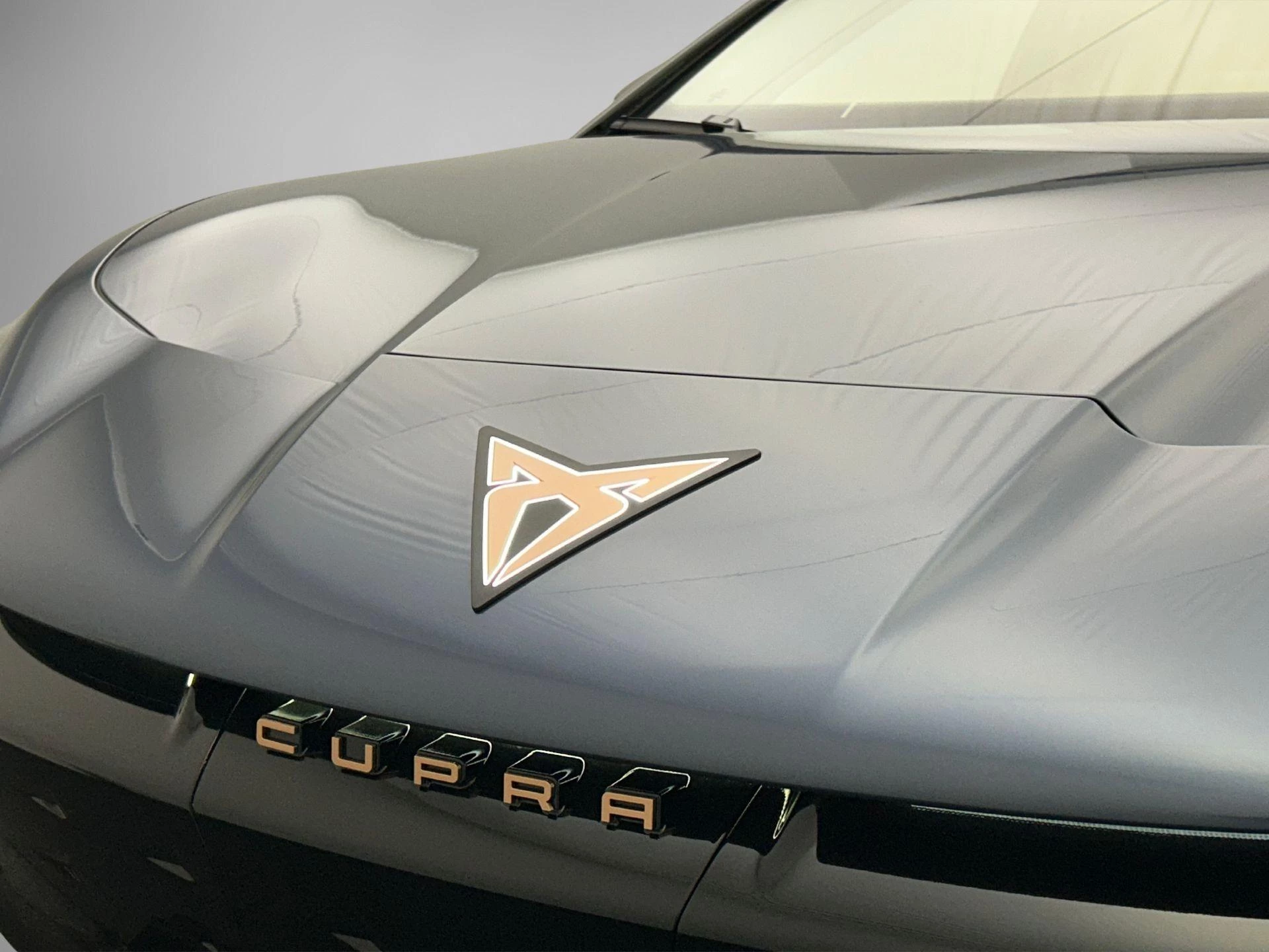 Hoofdafbeelding CUPRA Tavascan