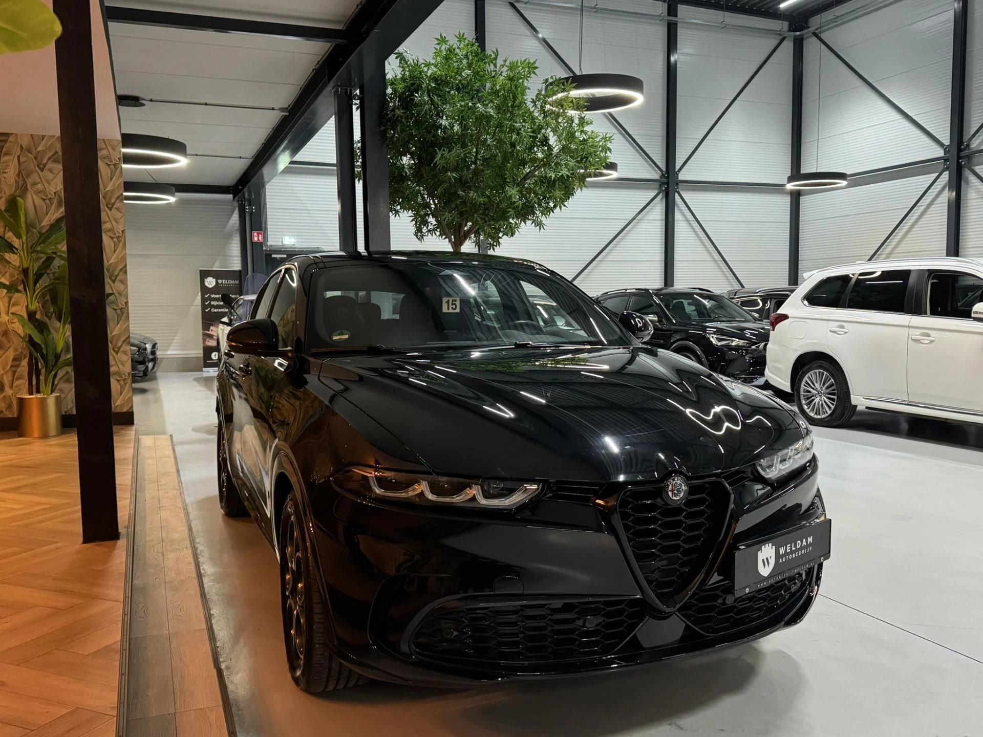 Hoofdafbeelding Alfa Romeo Tonale