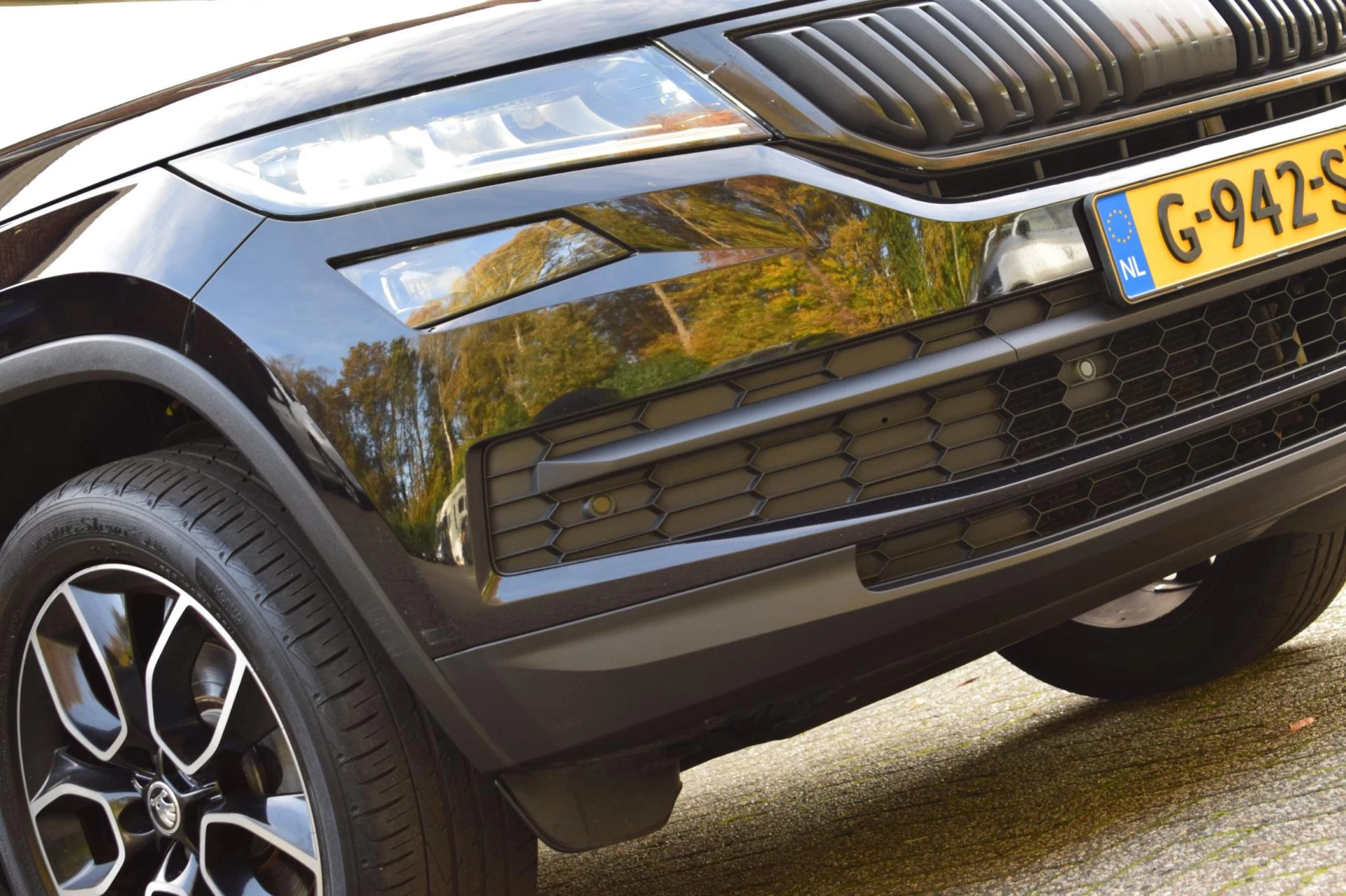 Hoofdafbeelding Škoda Kodiaq