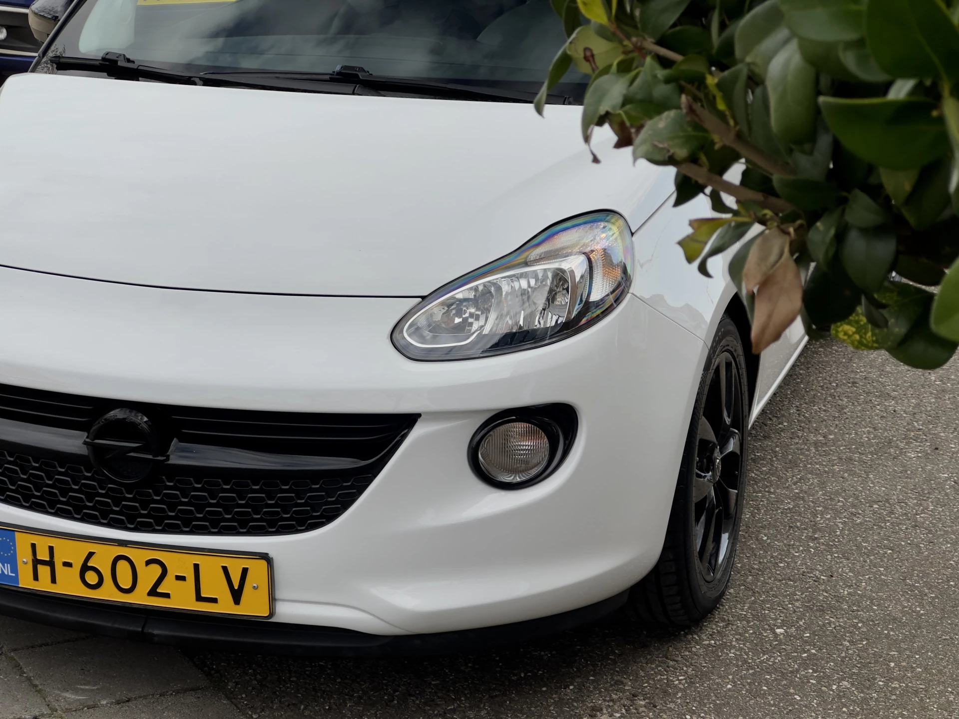 Hoofdafbeelding Opel ADAM