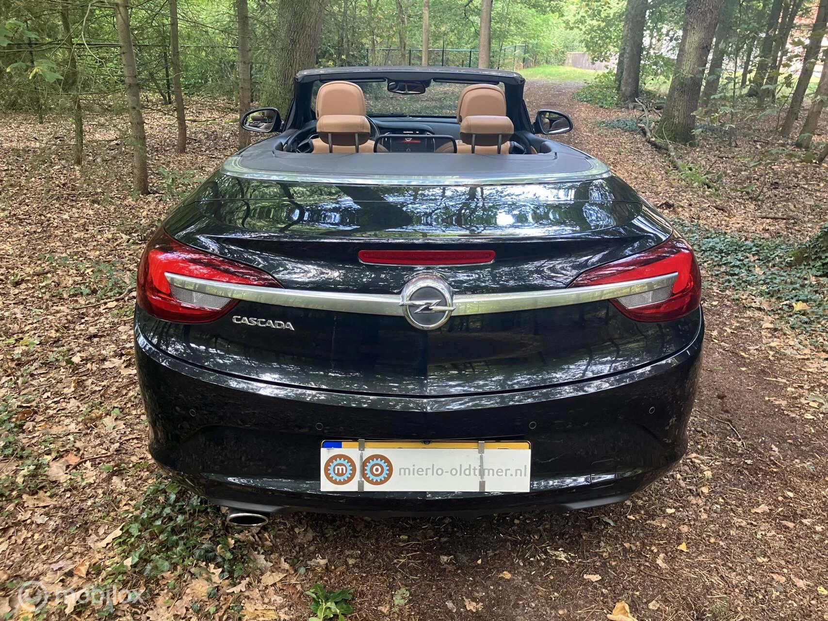 Hoofdafbeelding Opel Cascada