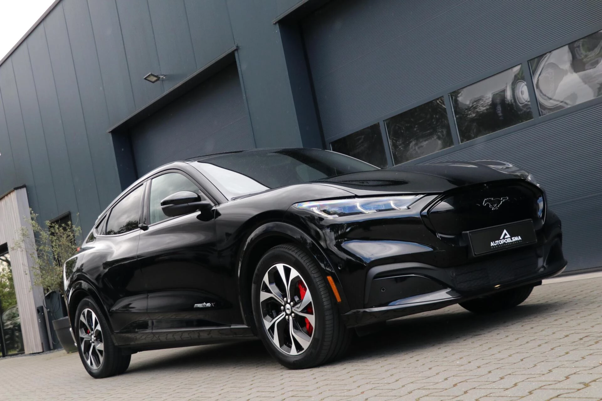 Hoofdafbeelding Ford Mustang Mach-E