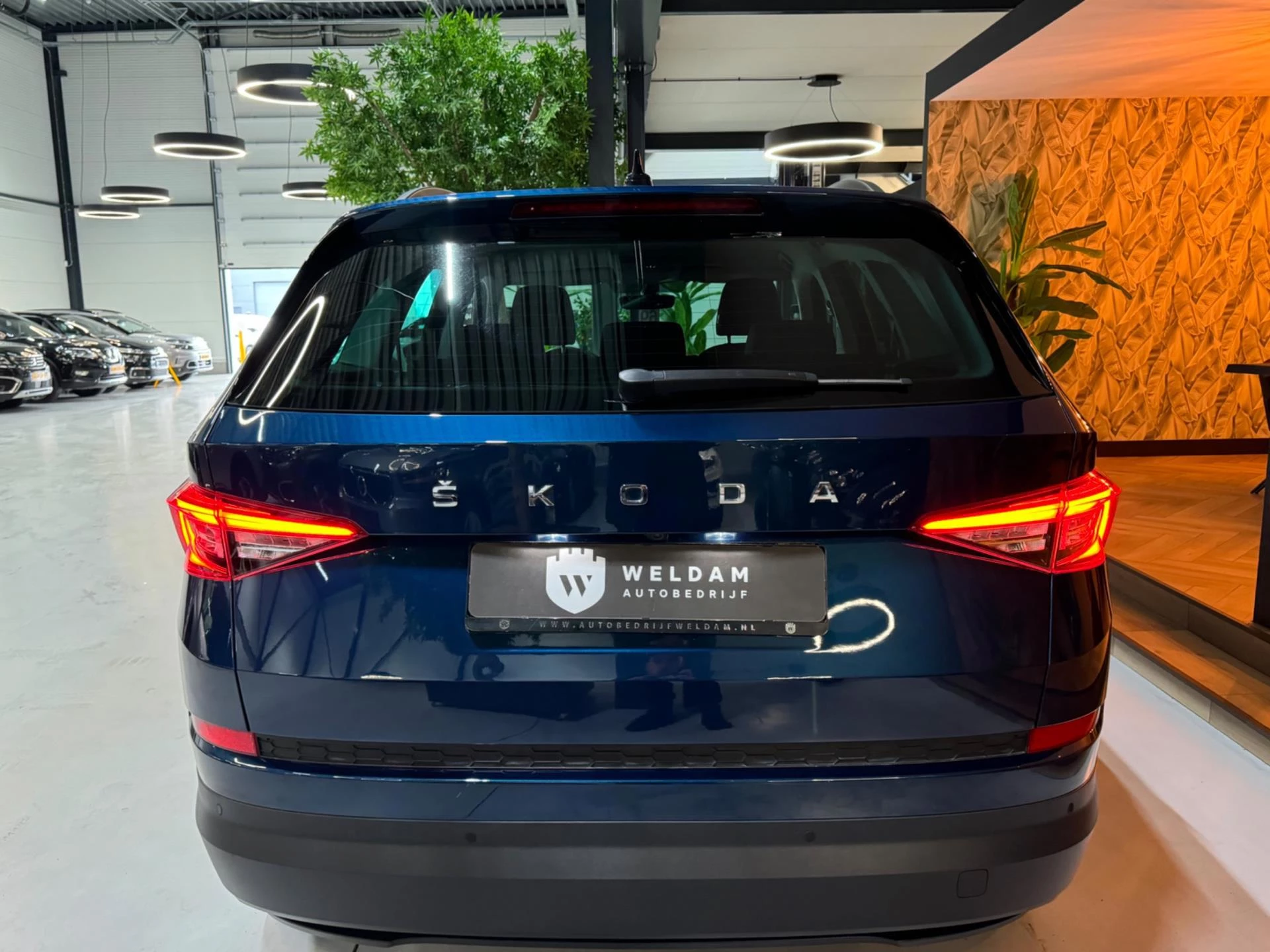 Hoofdafbeelding Škoda Kodiaq