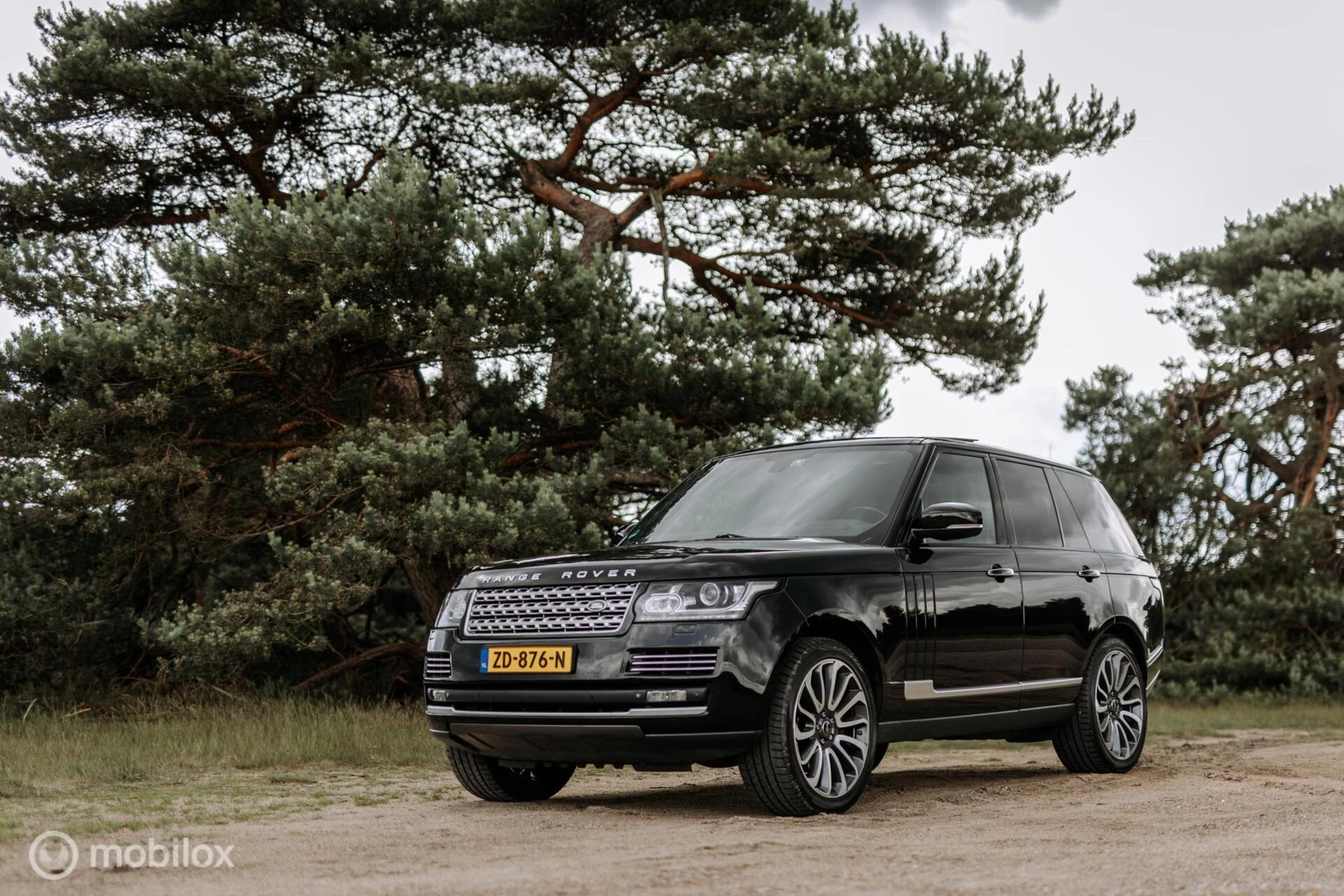 Hoofdafbeelding Land Rover Range Rover