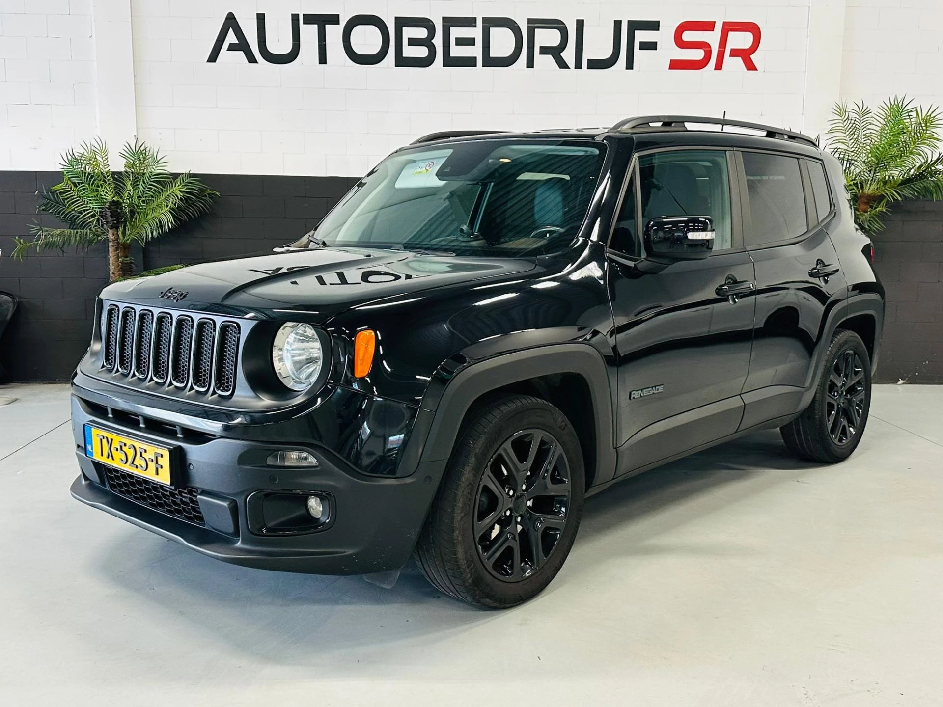 Hoofdafbeelding Jeep Renegade