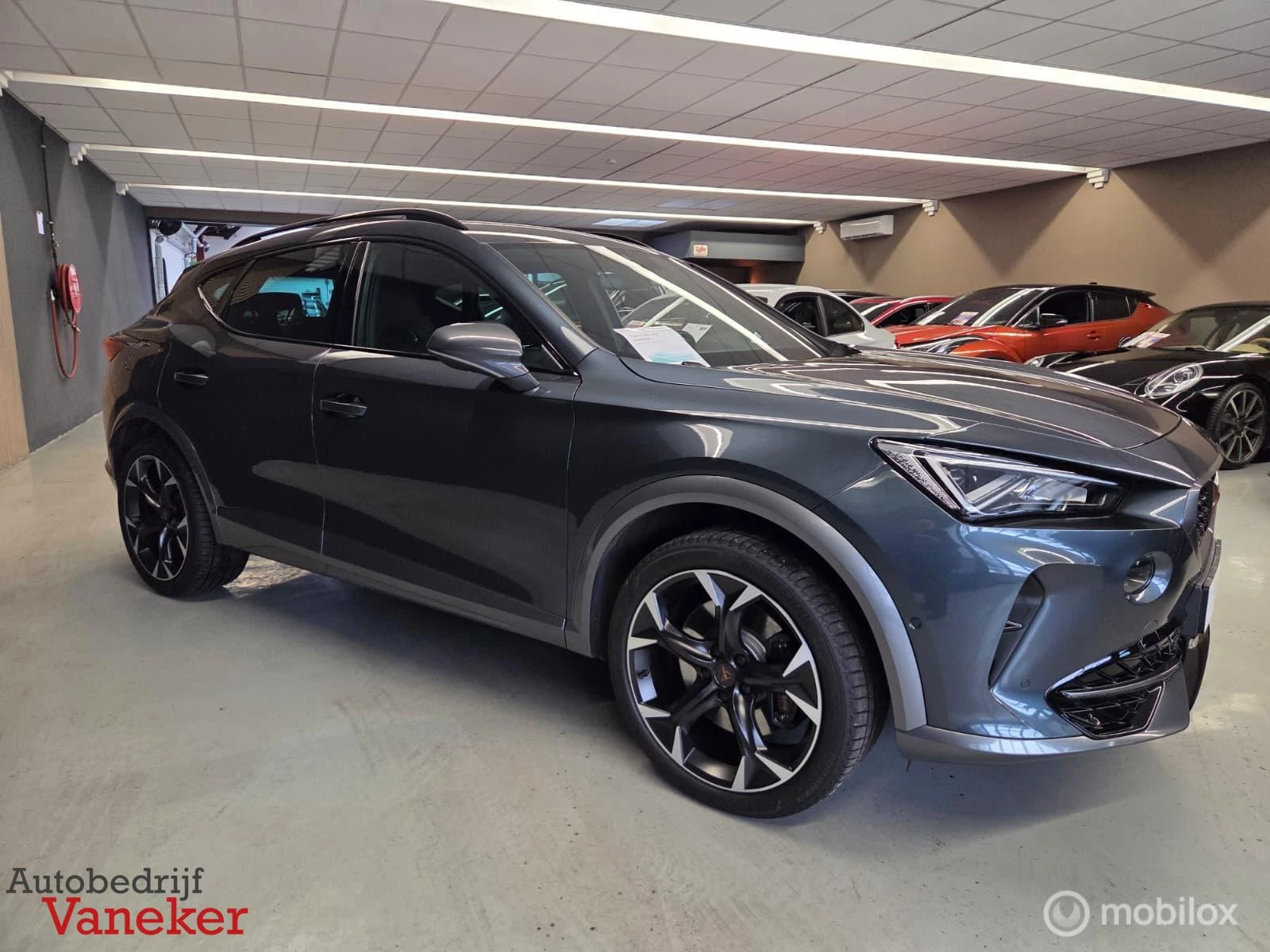 Hoofdafbeelding CUPRA Formentor