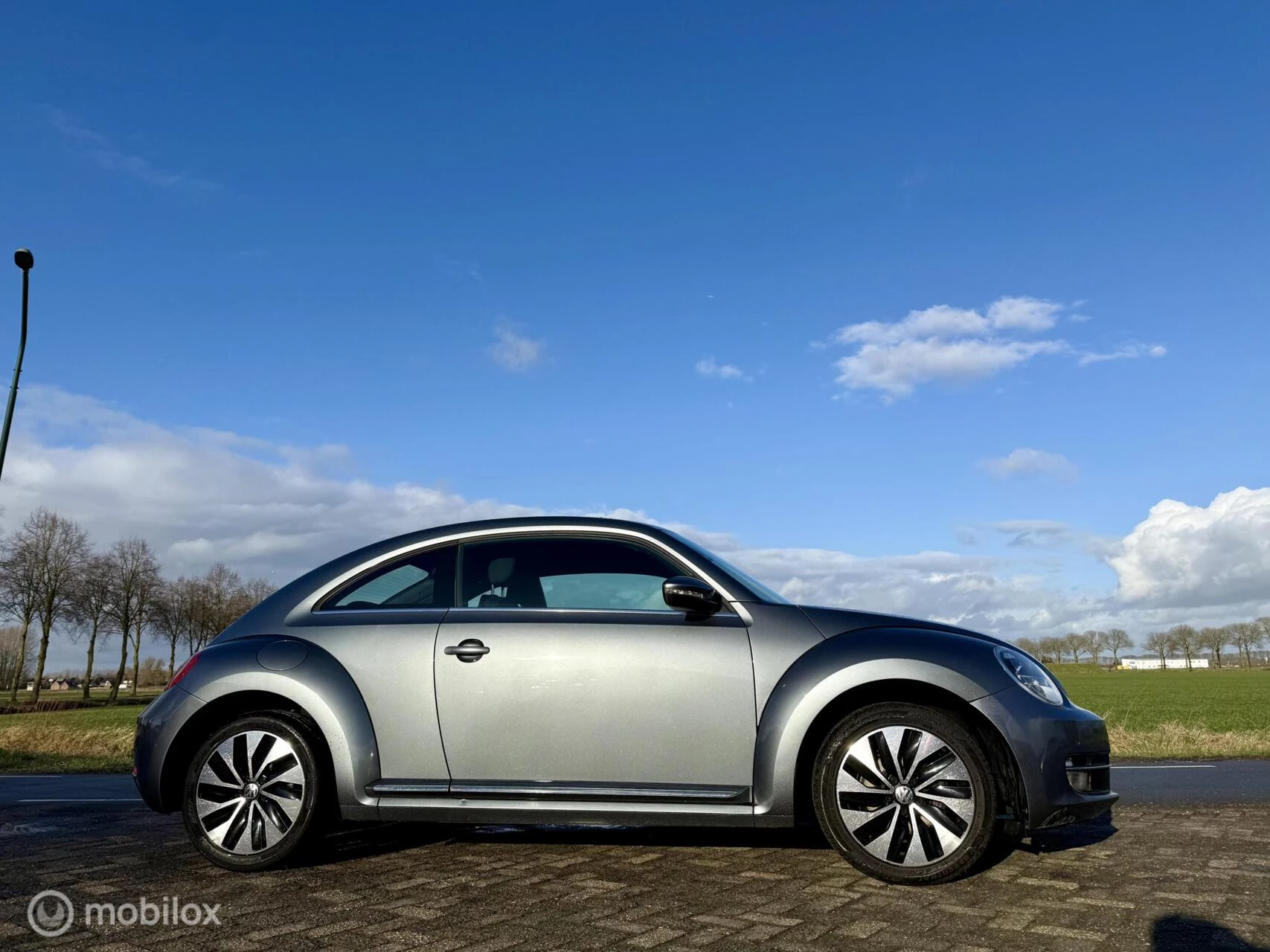 Hoofdafbeelding Volkswagen Beetle