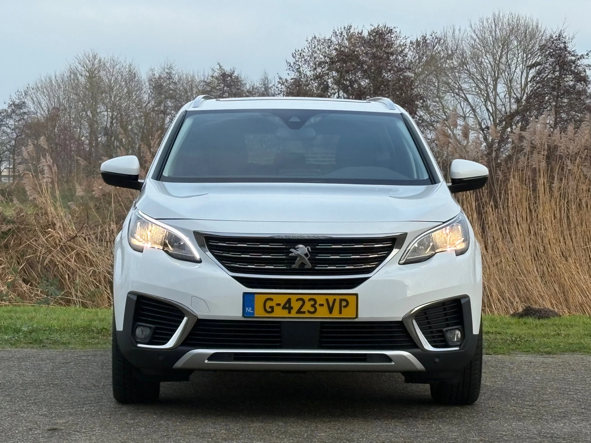 Hoofdafbeelding Peugeot 5008