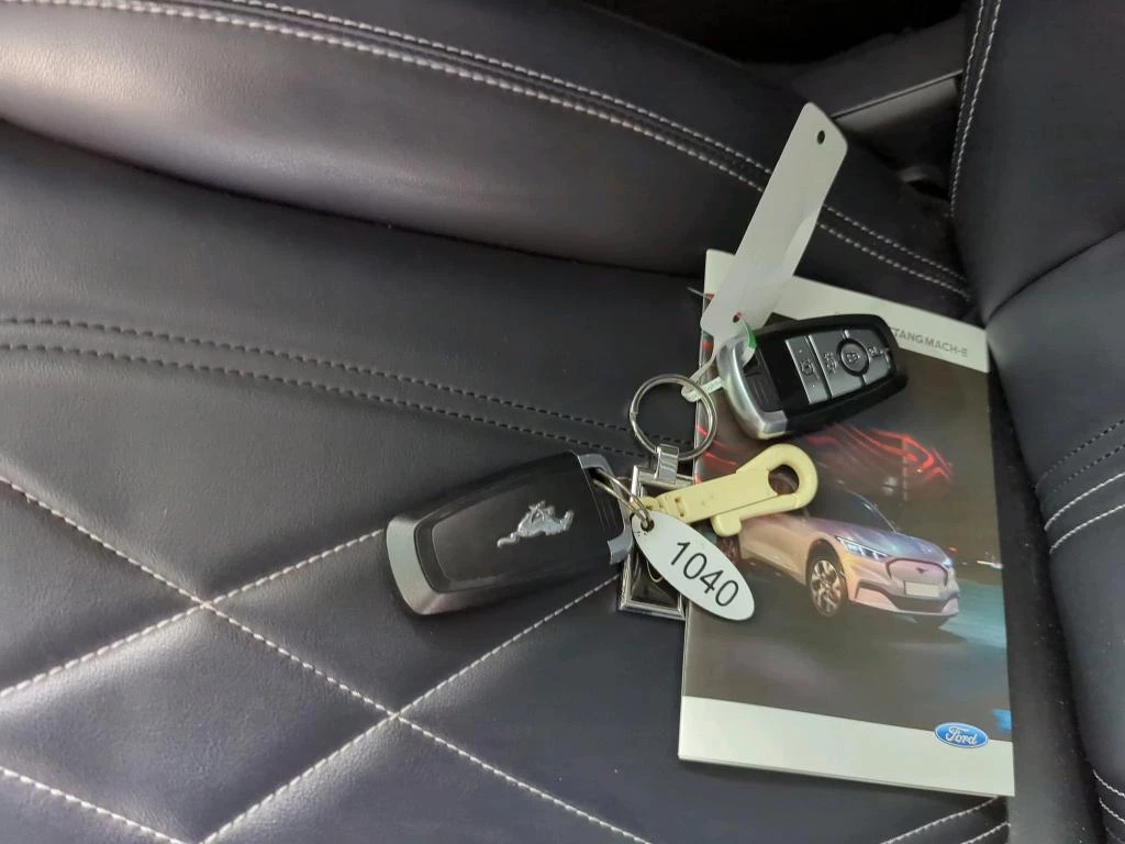 Hoofdafbeelding Ford Mustang Mach-E