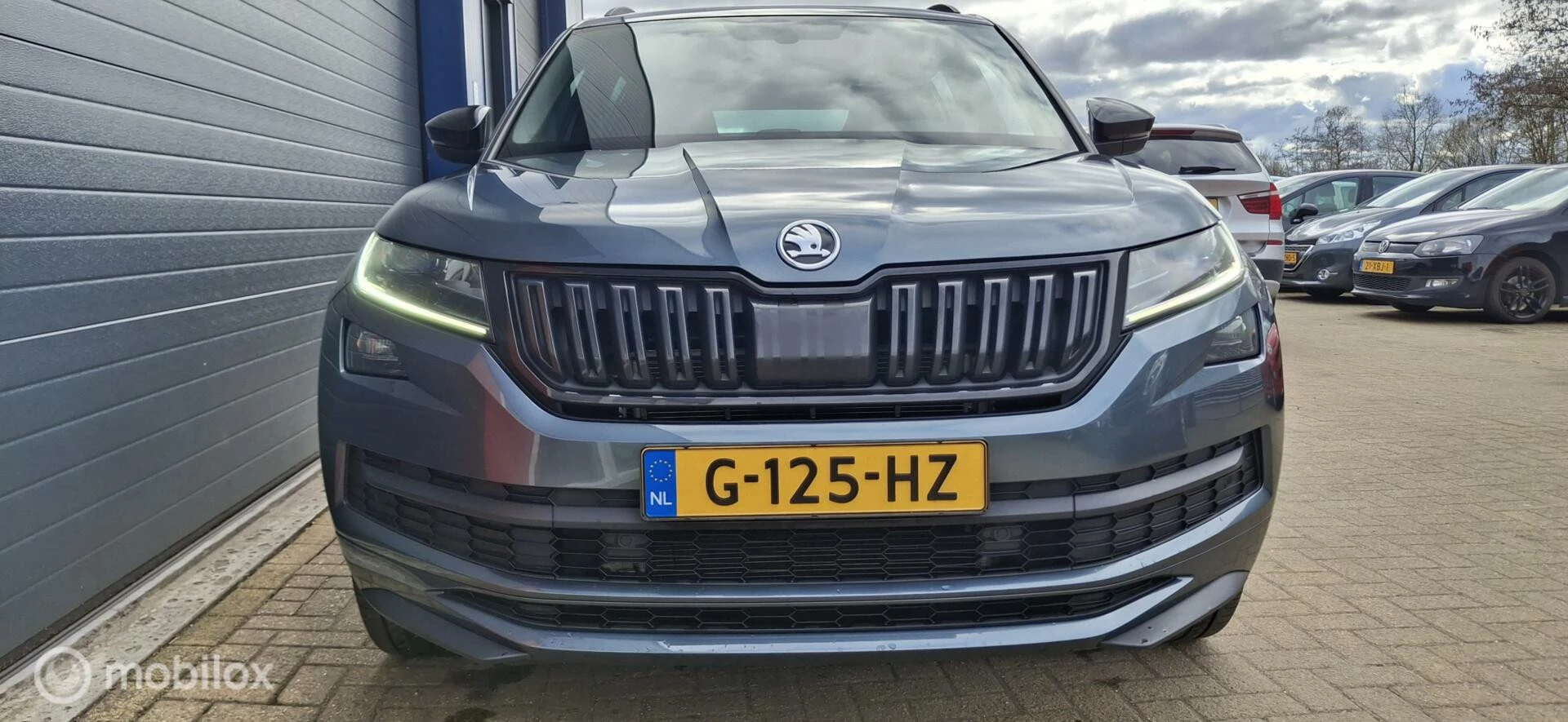 Hoofdafbeelding Škoda Kodiaq