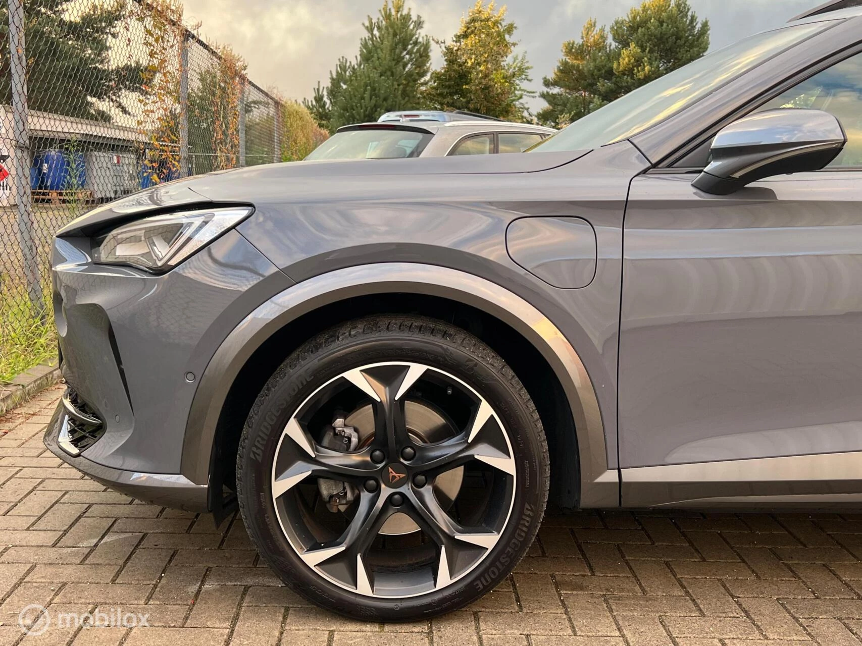 Hoofdafbeelding CUPRA Formentor