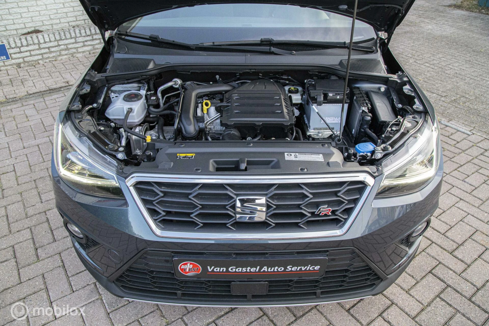 Hoofdafbeelding SEAT Arona