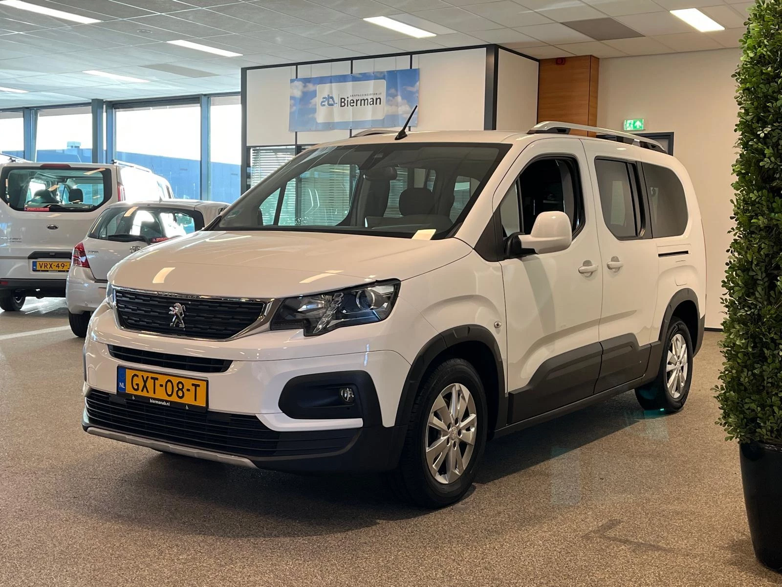 Hoofdafbeelding Peugeot Rifter