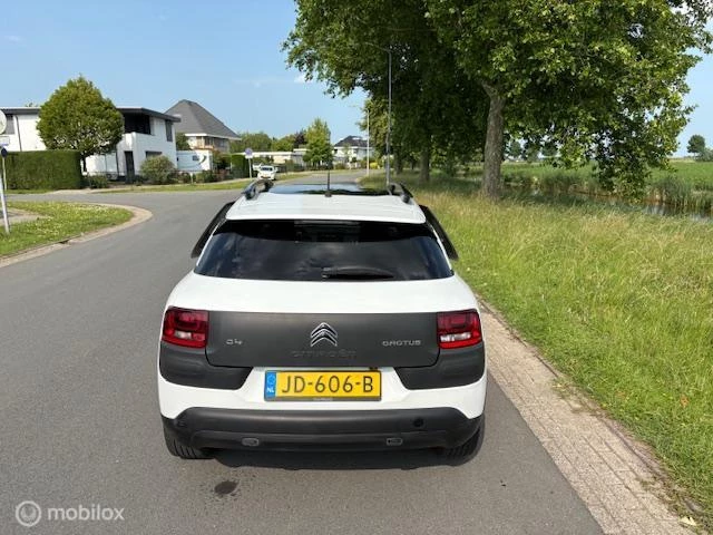 Hoofdafbeelding Citroën C4 Cactus