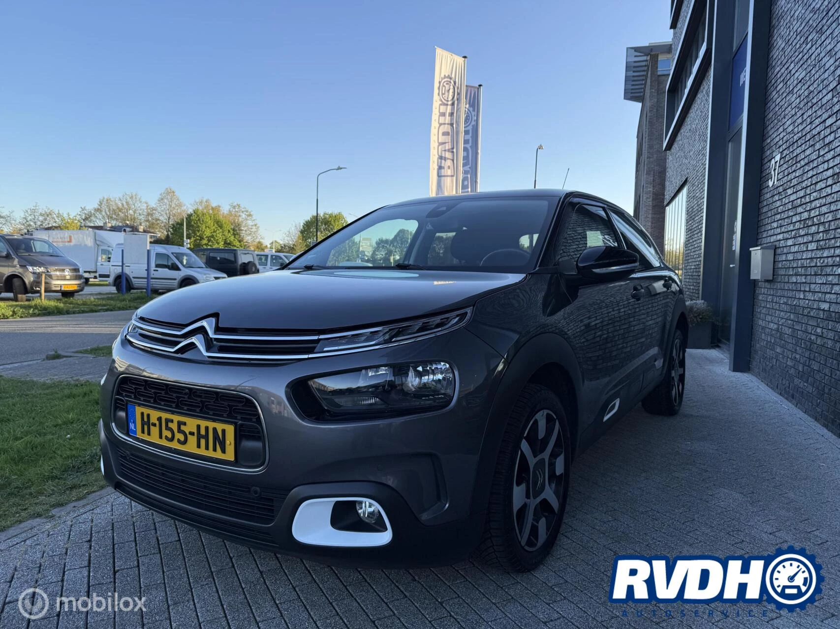 Hoofdafbeelding Citroën C4 Cactus