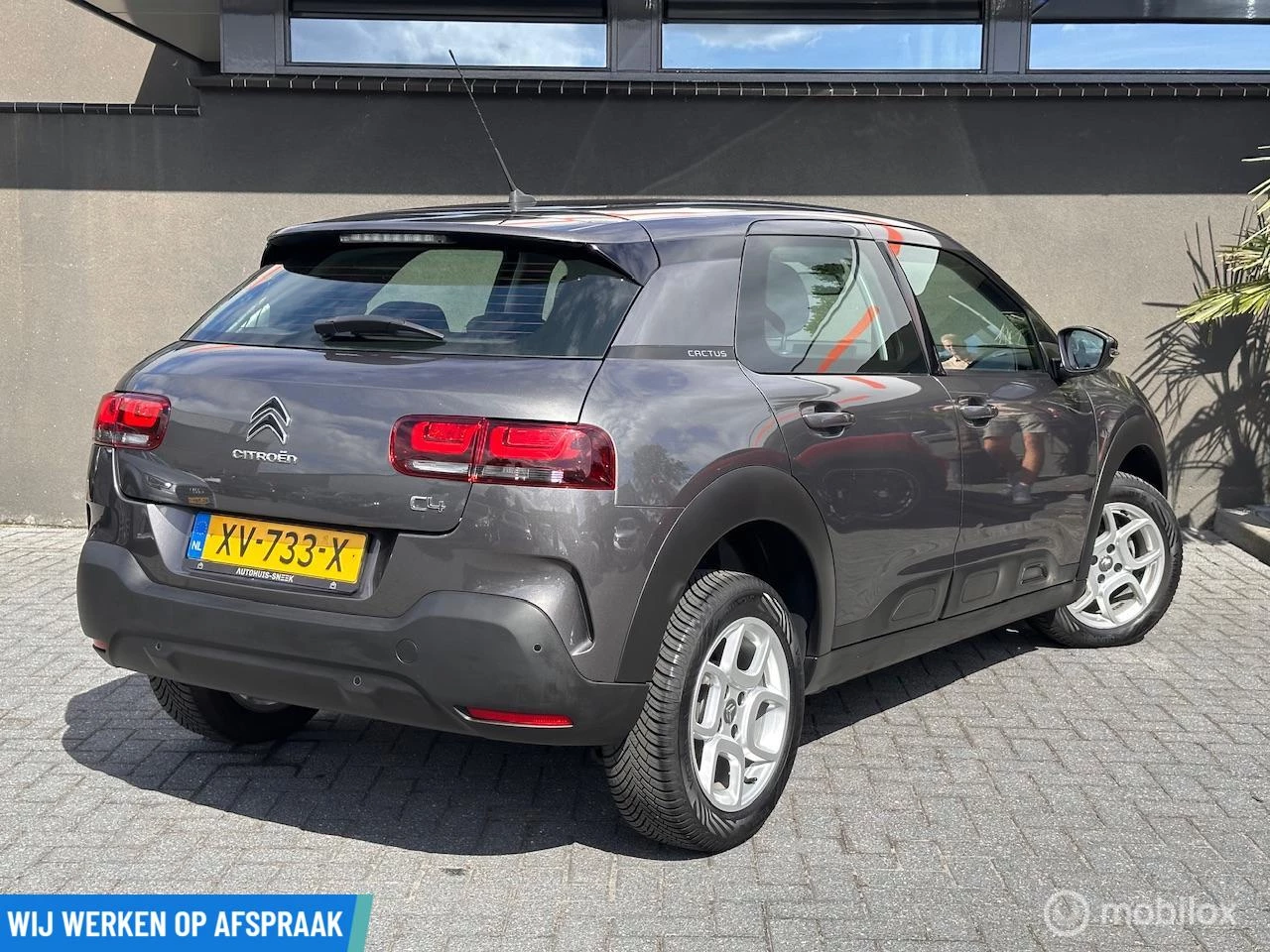 Hoofdafbeelding Citroën C4 Cactus