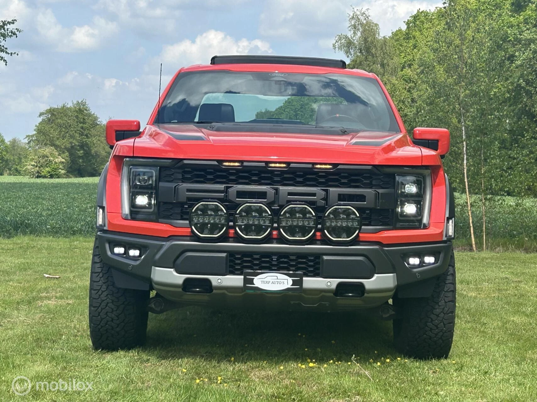 Hoofdafbeelding Ford F-150