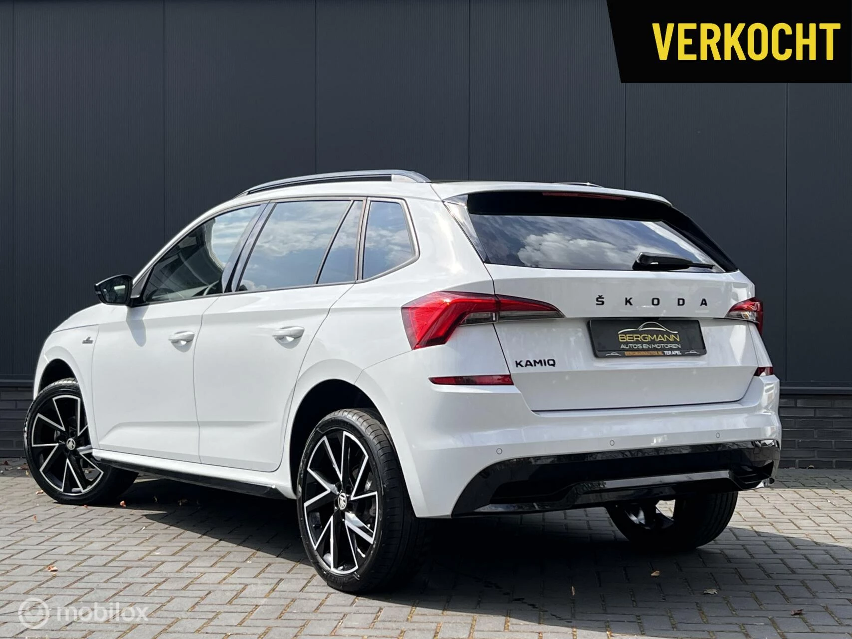 Hoofdafbeelding Škoda Kamiq