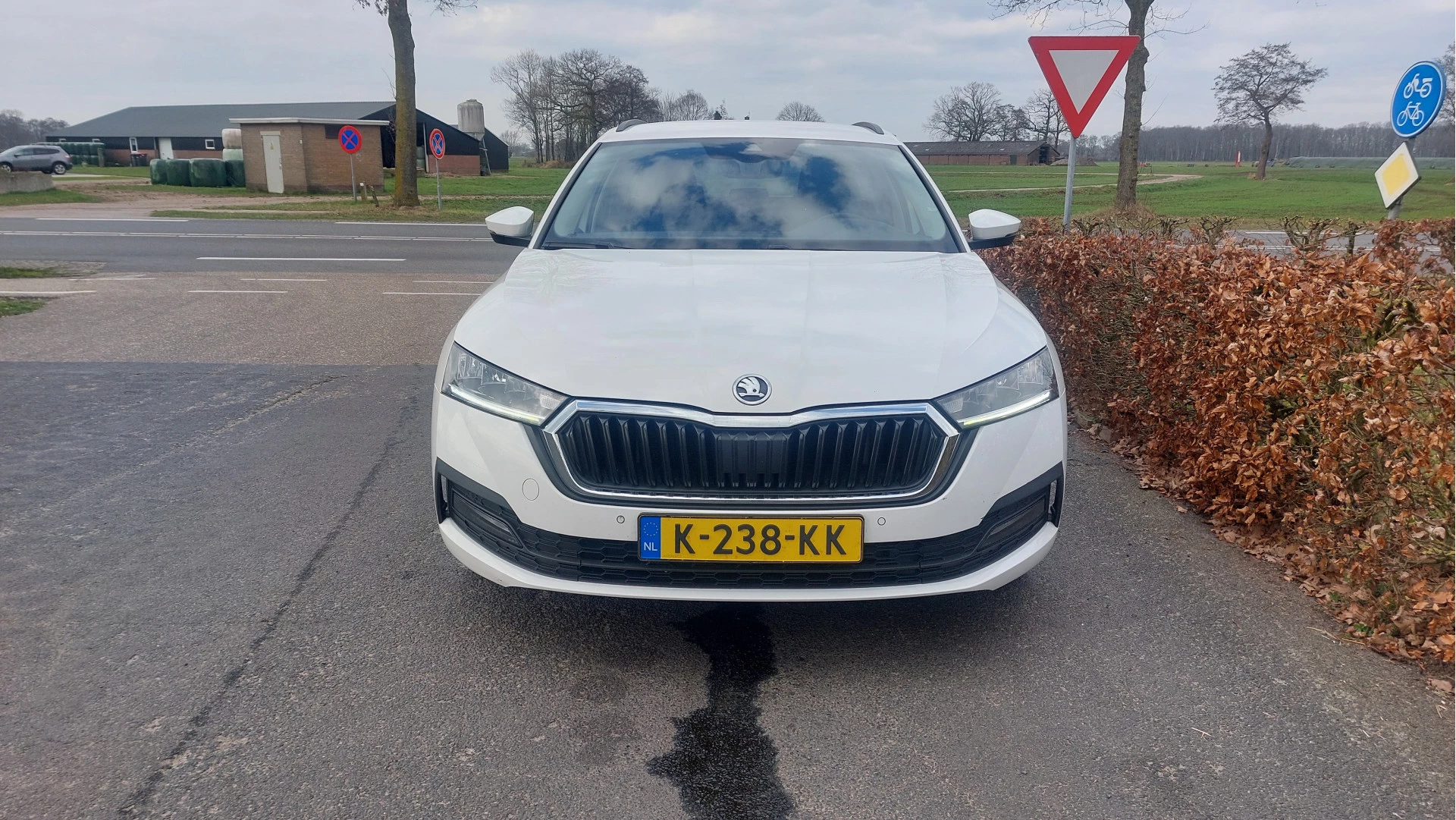 Hoofdafbeelding Škoda Octavia