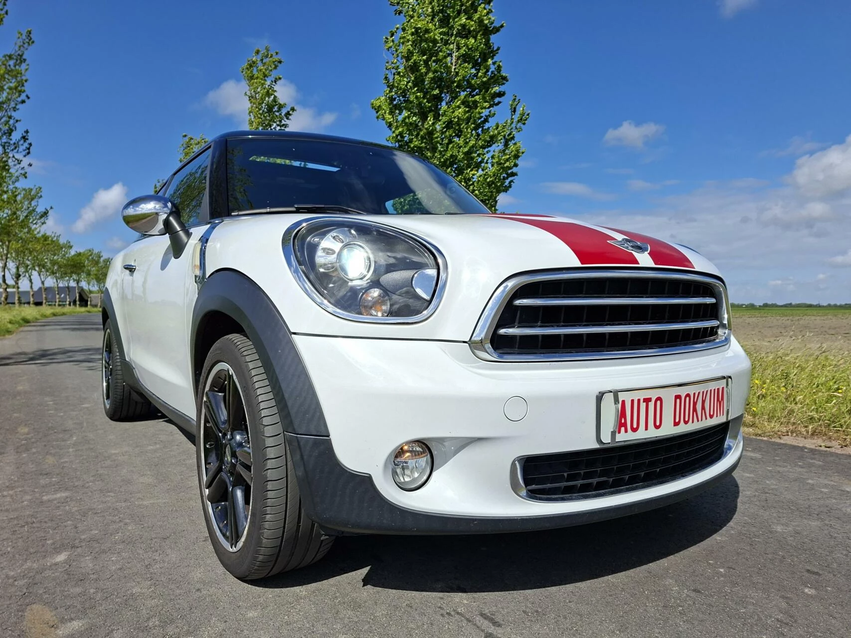 Hoofdafbeelding MINI Paceman