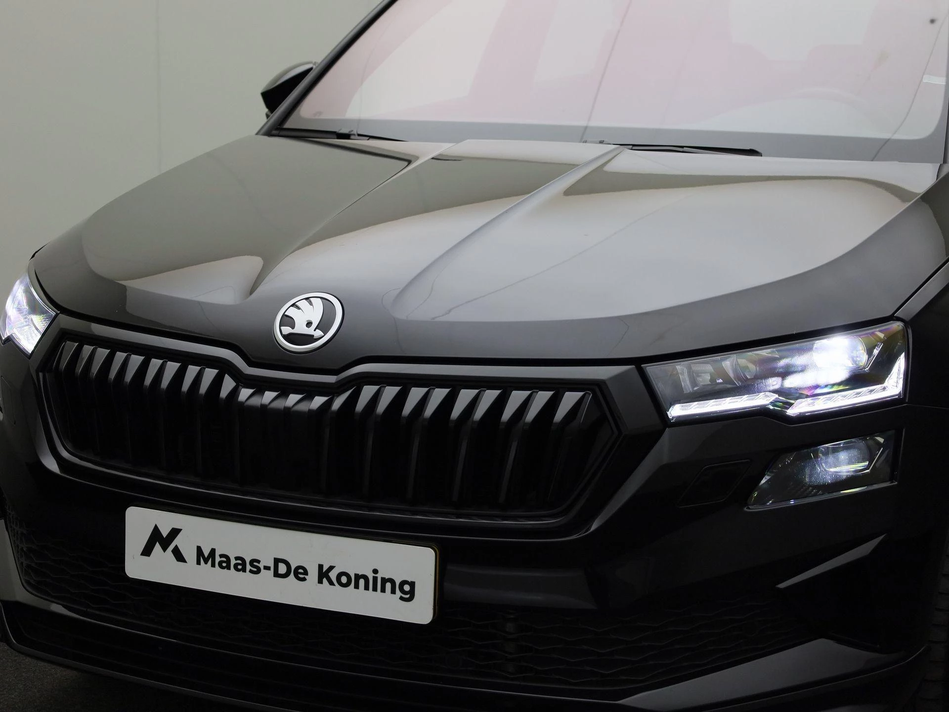 Hoofdafbeelding Škoda Karoq