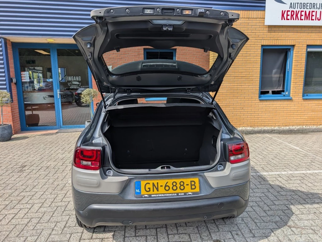 Hoofdafbeelding Citroën C4 Cactus