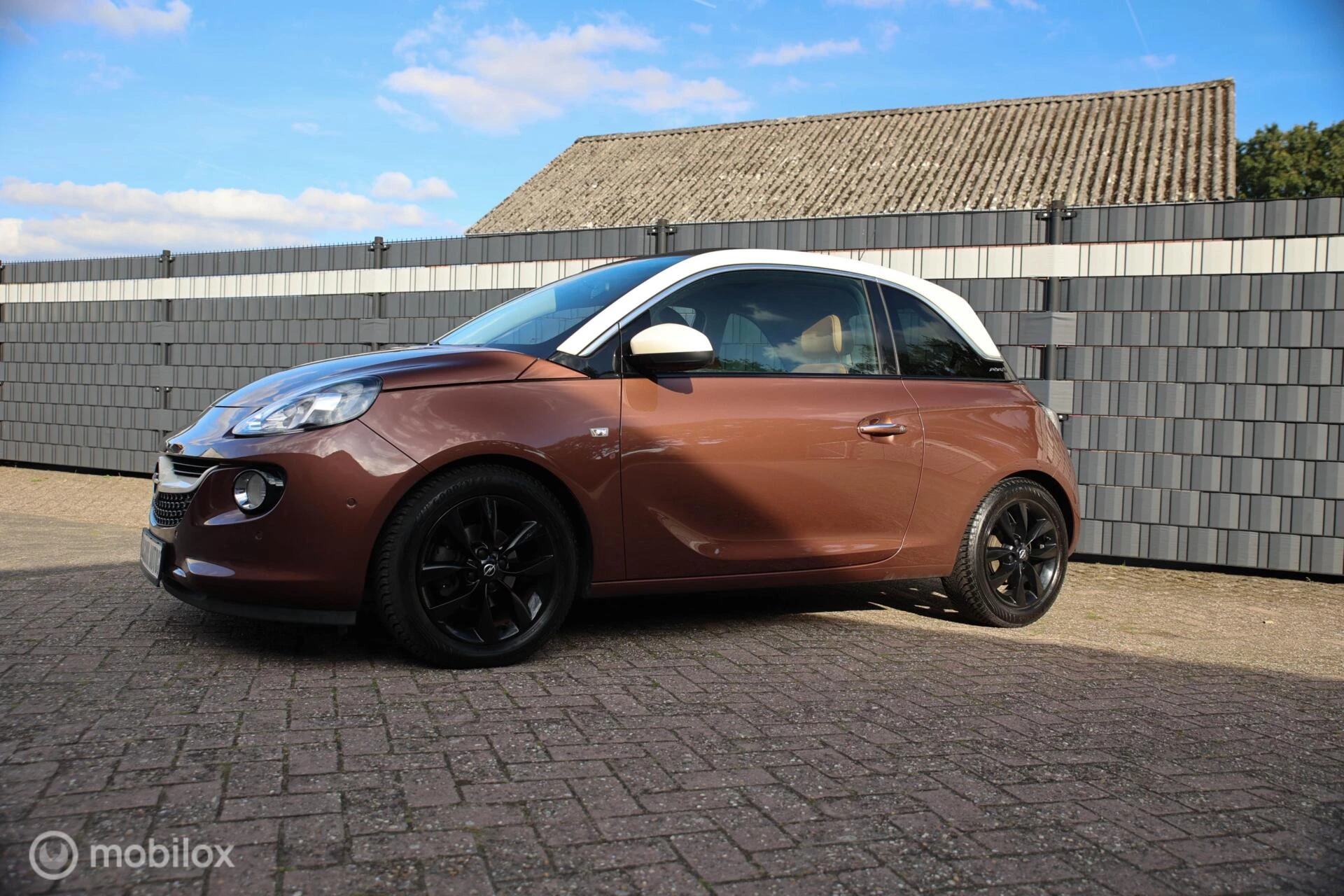Hoofdafbeelding Opel ADAM