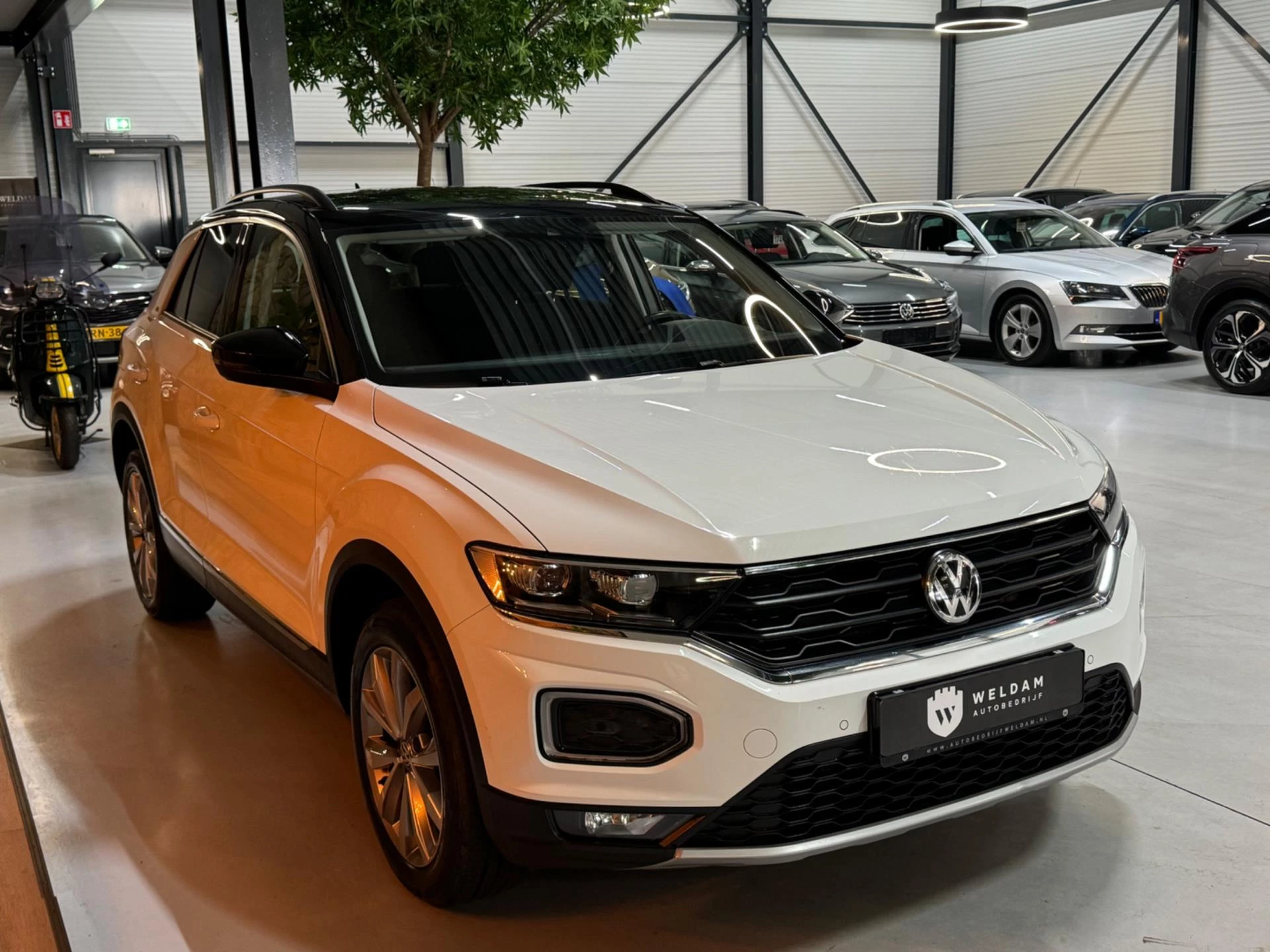 Hoofdafbeelding Volkswagen T-Roc