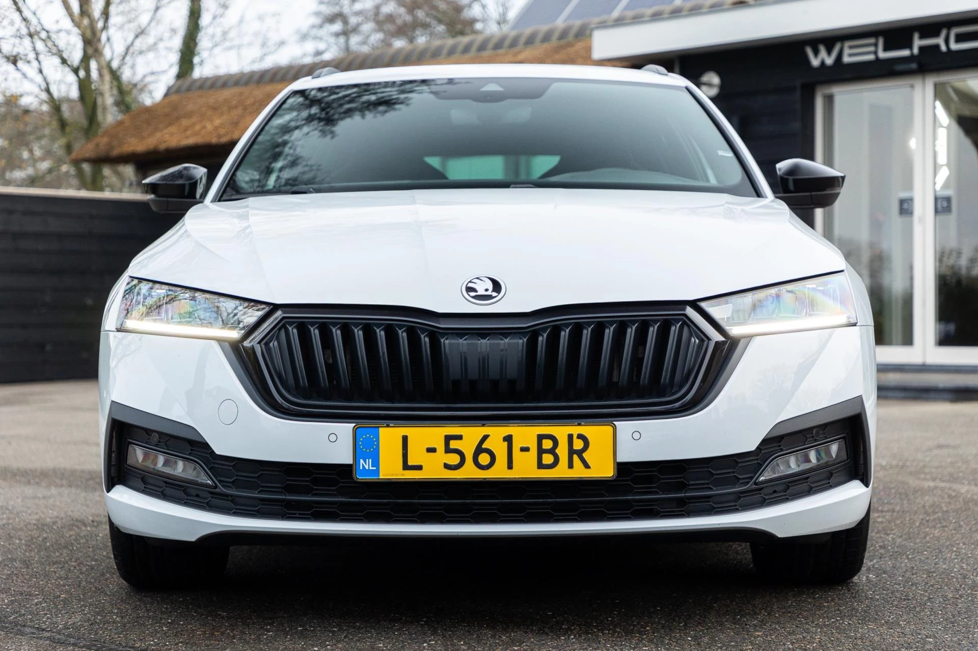 Hoofdafbeelding Škoda Octavia