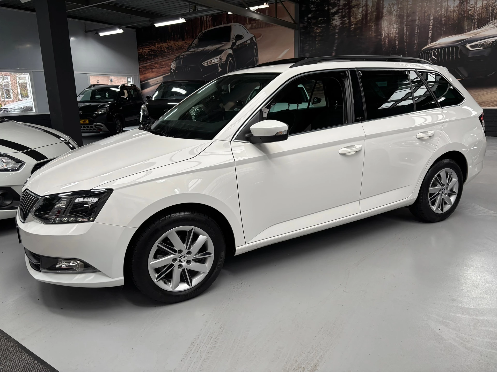 Hoofdafbeelding Škoda Fabia