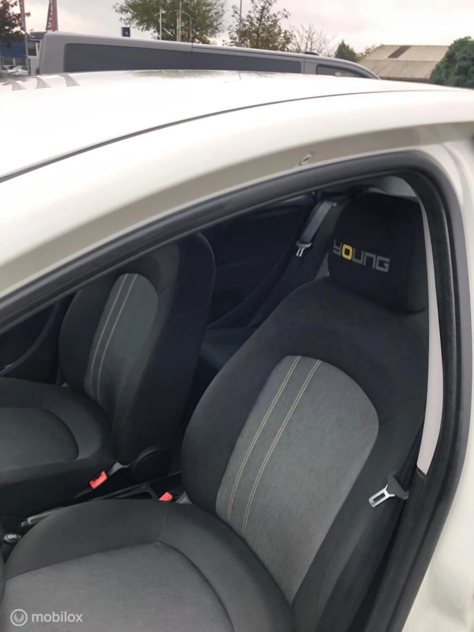 Hoofdafbeelding Fiat Punto