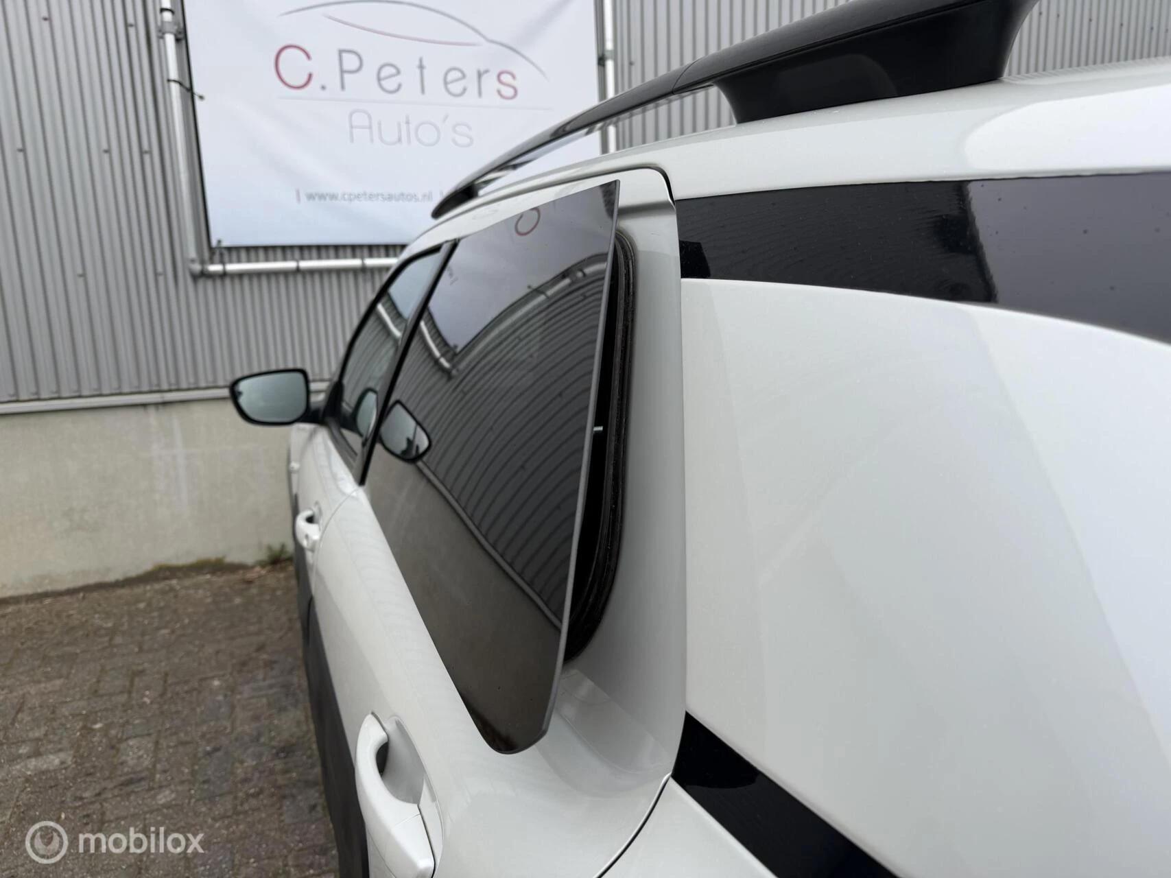 Hoofdafbeelding Citroën C4 Cactus