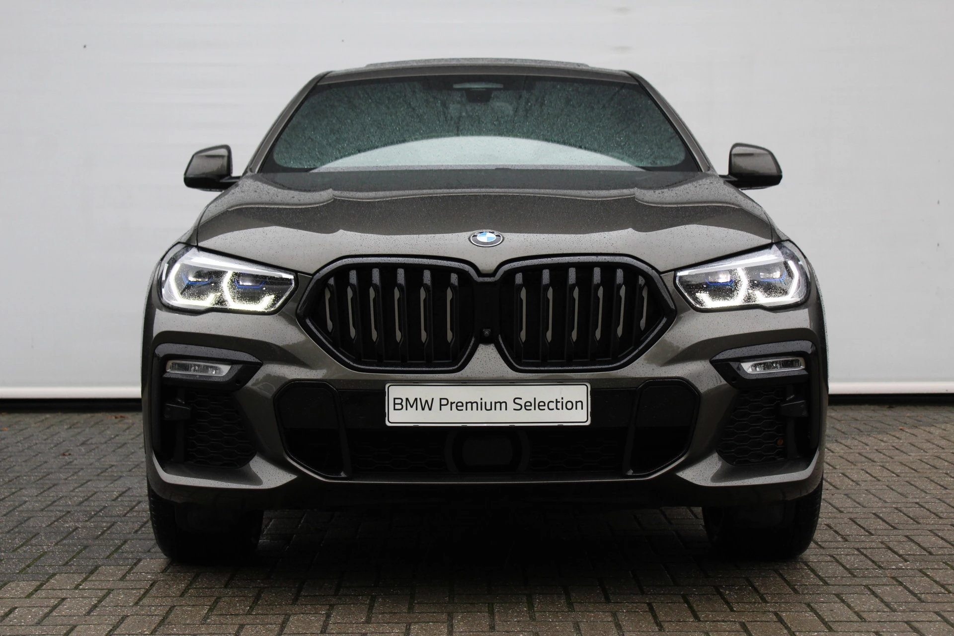 Hoofdafbeelding BMW X6