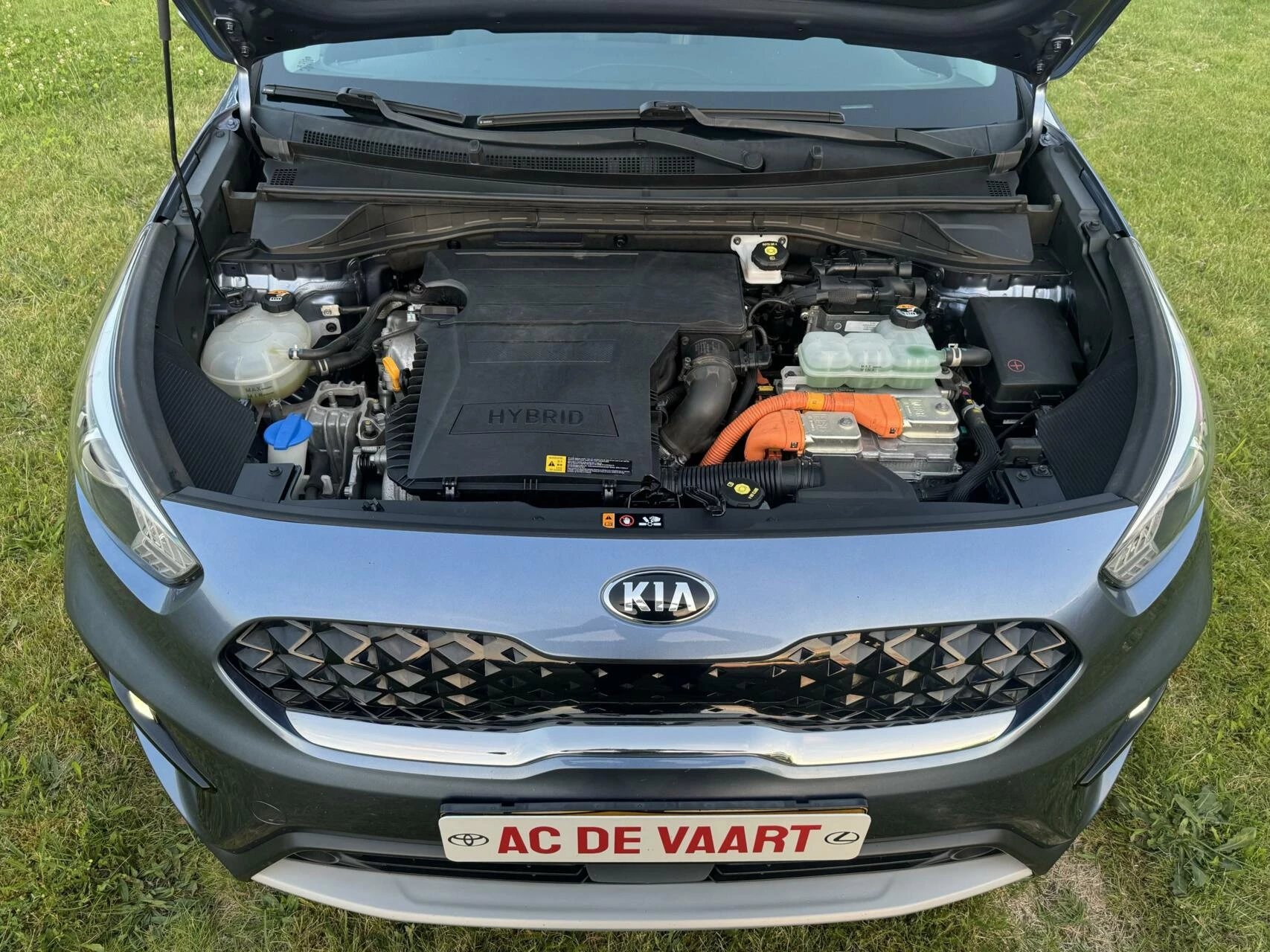 Hoofdafbeelding Kia Niro