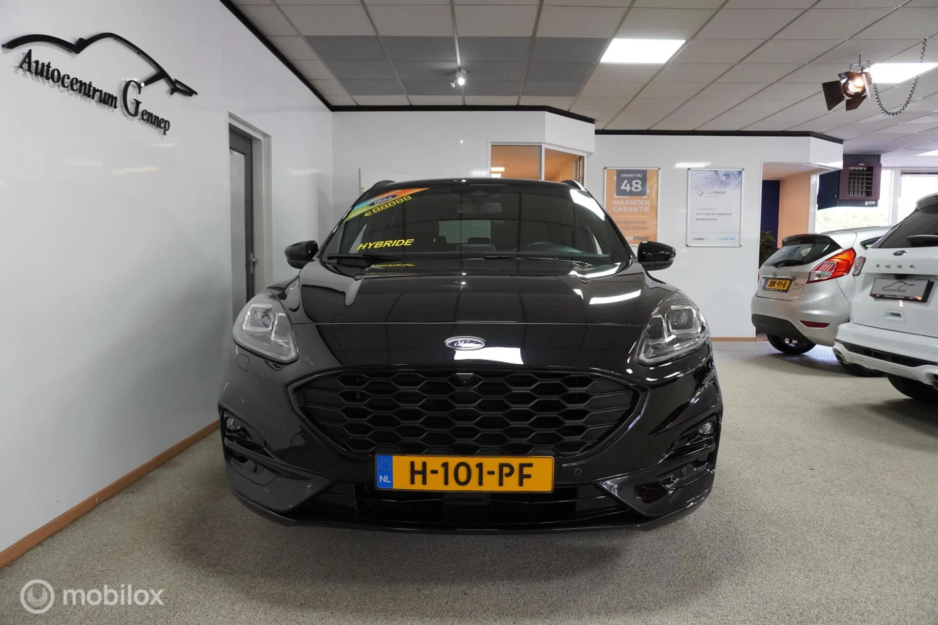 Hoofdafbeelding Ford Kuga