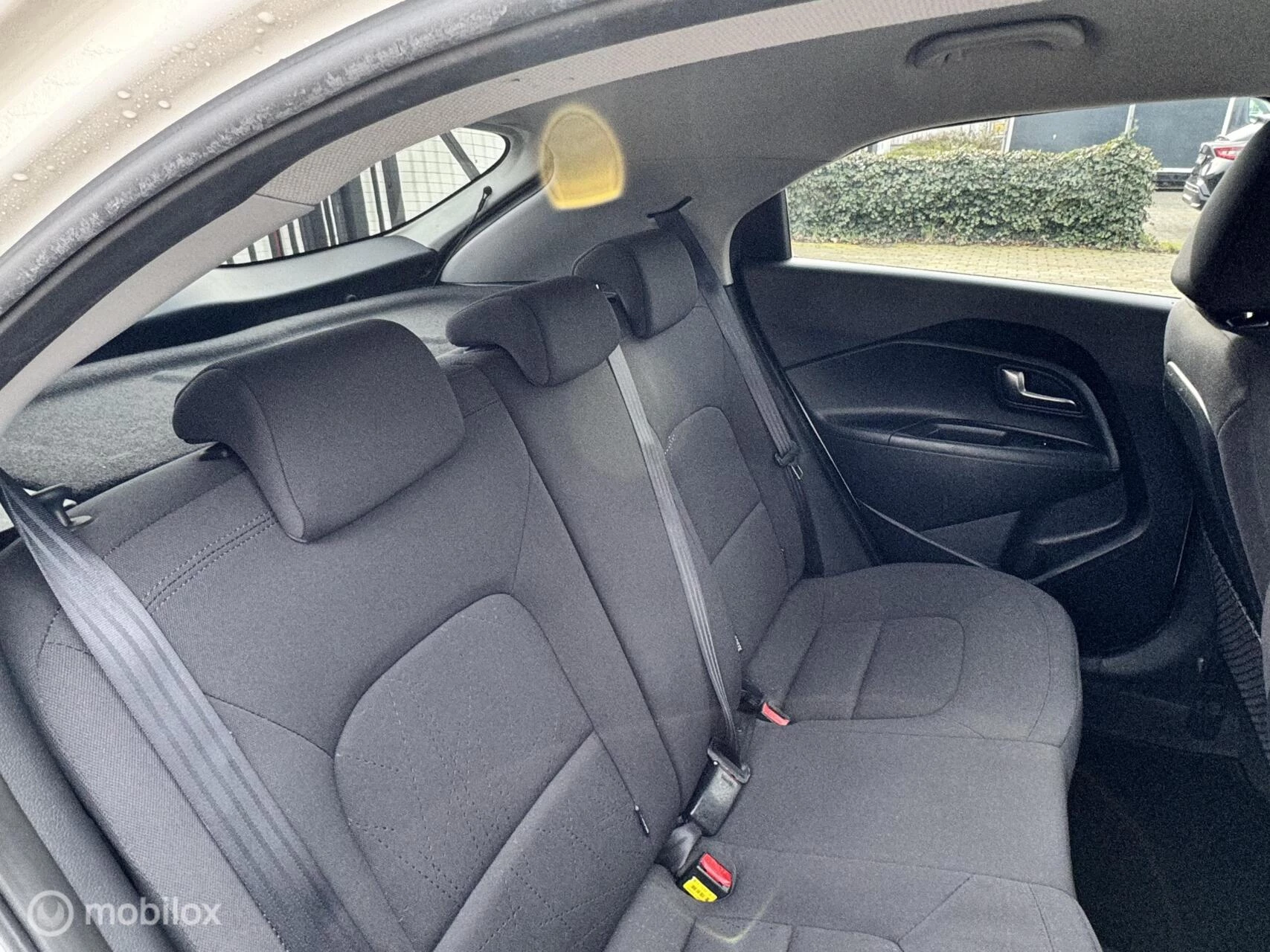 Hoofdafbeelding Kia Rio