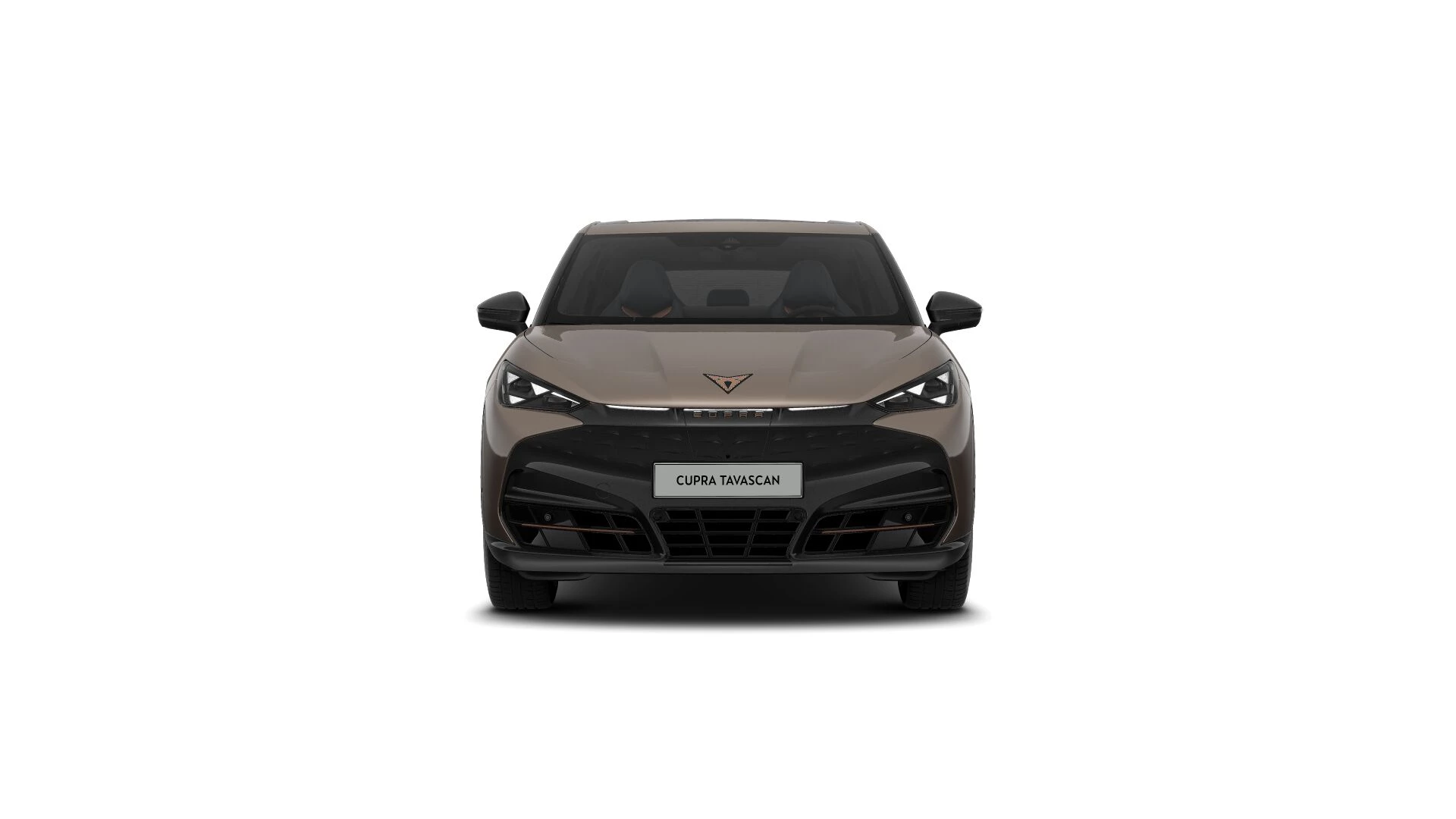 Hoofdafbeelding CUPRA Tavascan