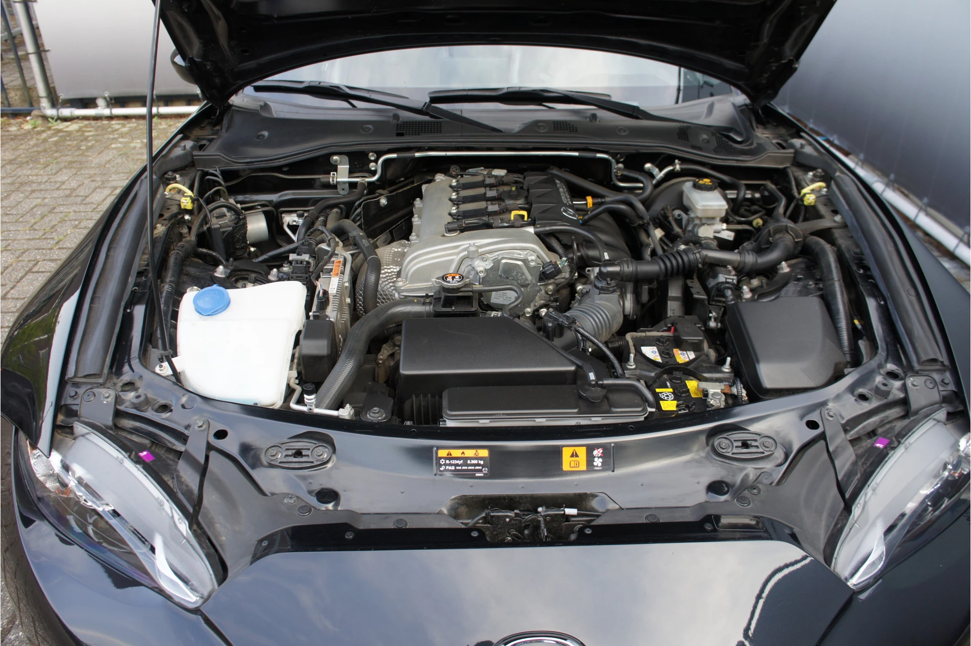 Hoofdafbeelding Mazda MX-5