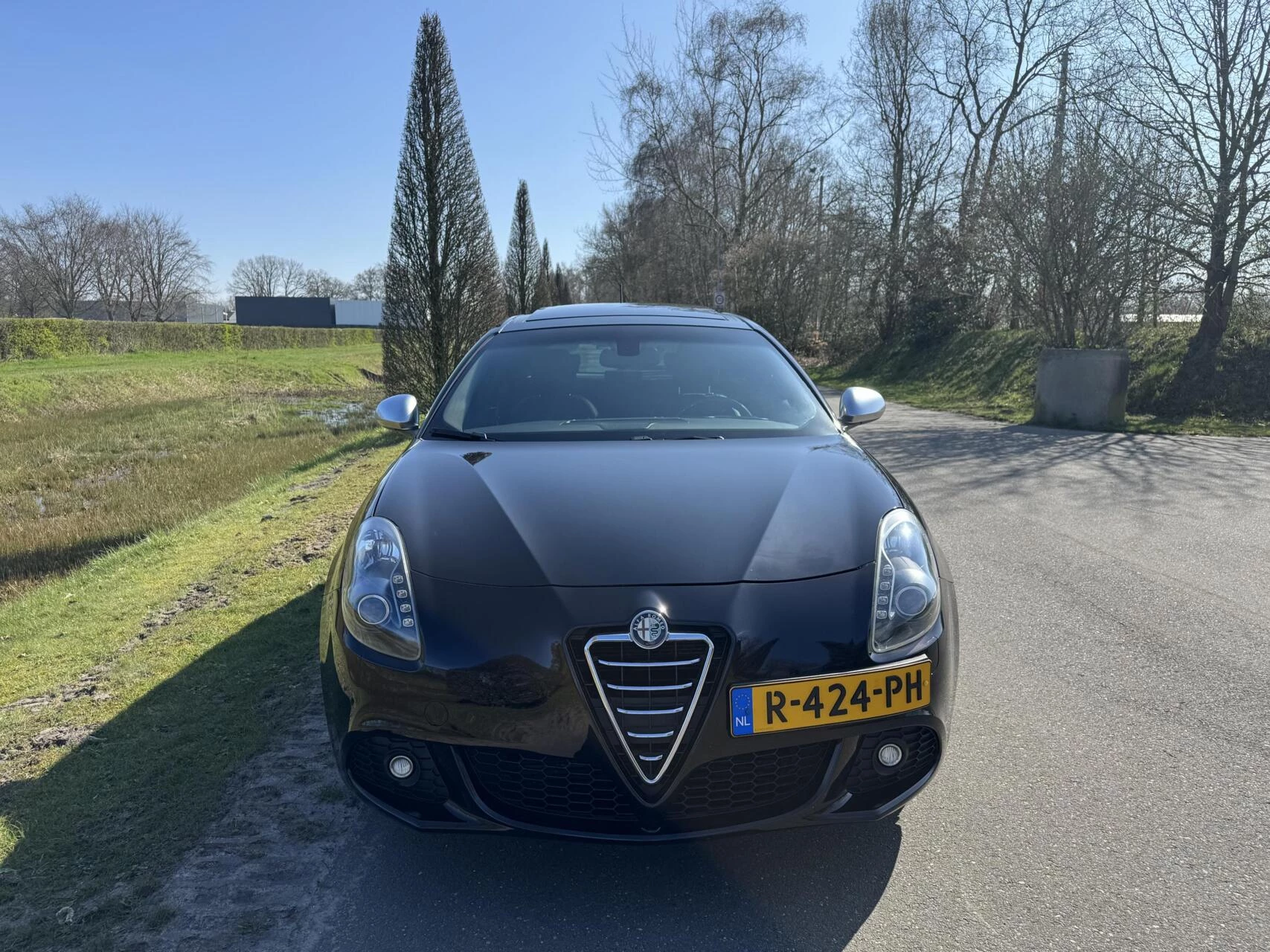 Hoofdafbeelding Alfa Romeo Giulietta