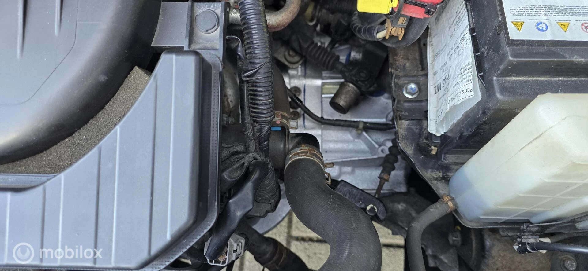 Hoofdafbeelding Suzuki Splash