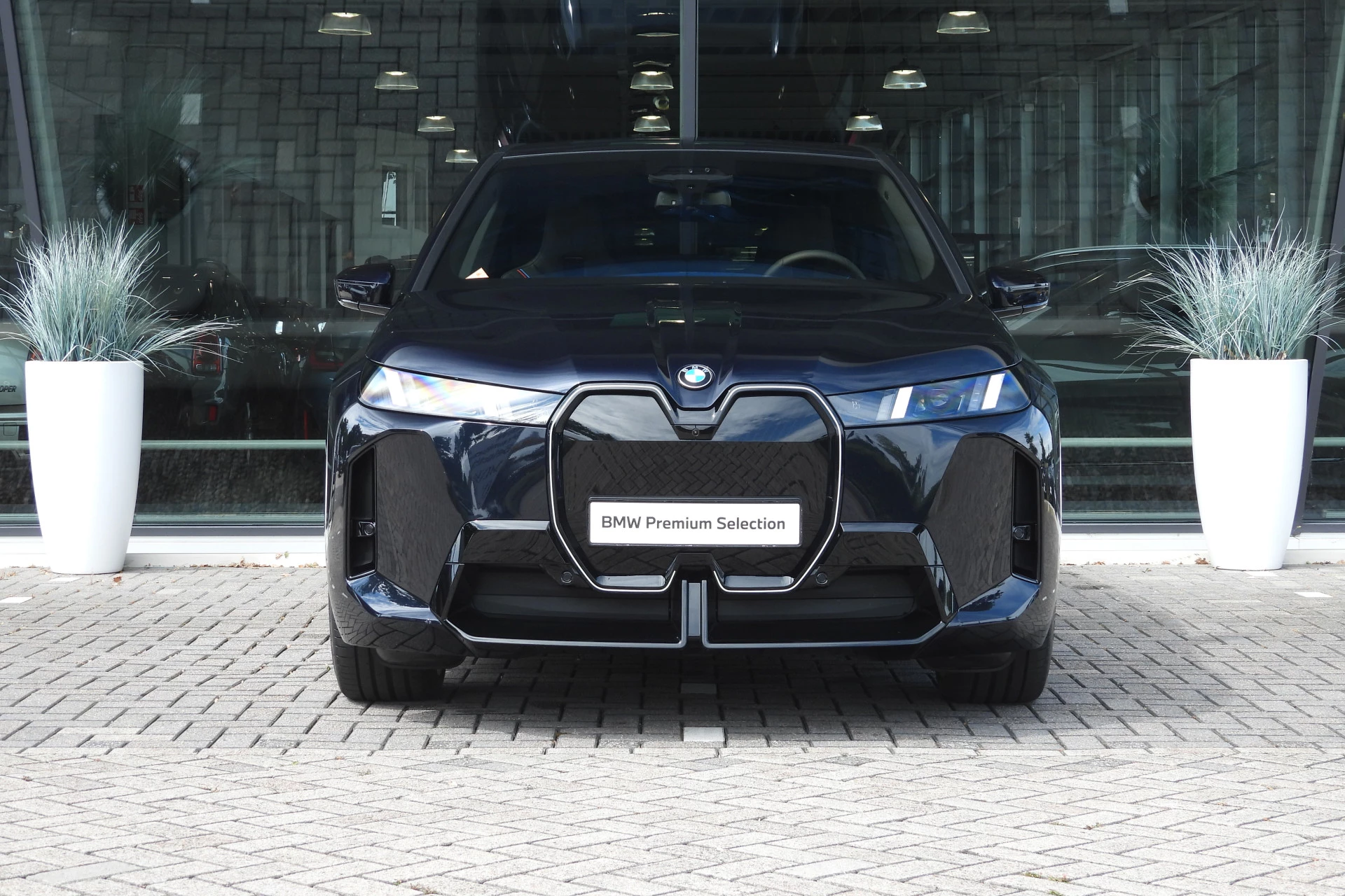 Hoofdafbeelding BMW iX