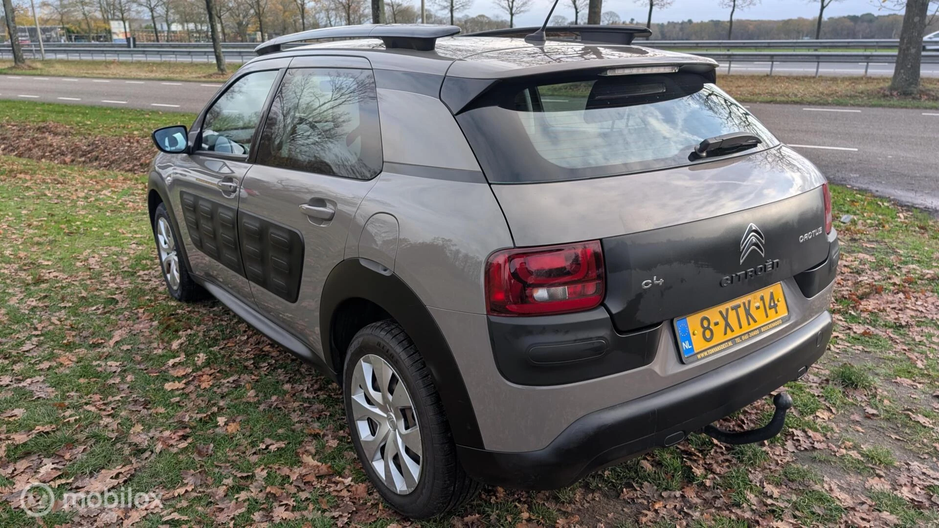 Hoofdafbeelding Citroën C4 Cactus