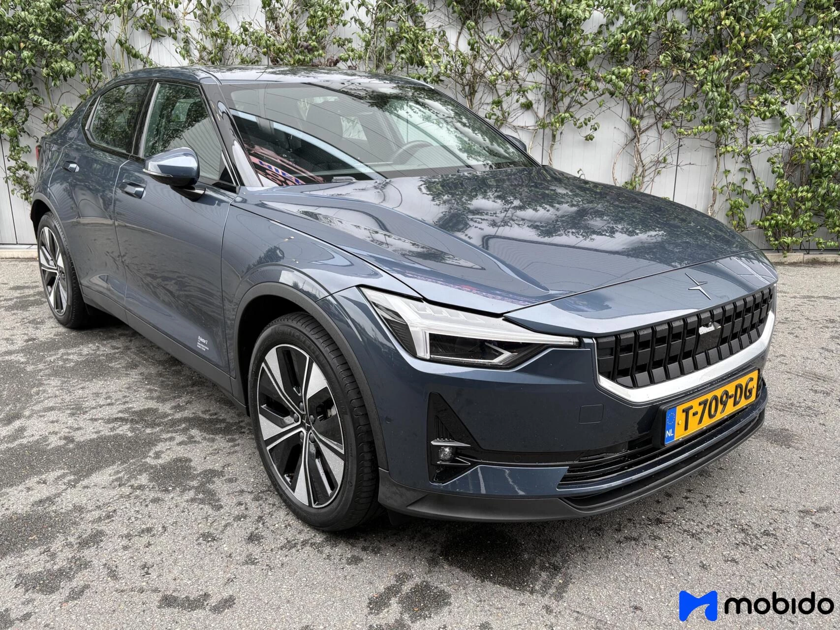 Hoofdafbeelding Polestar 2