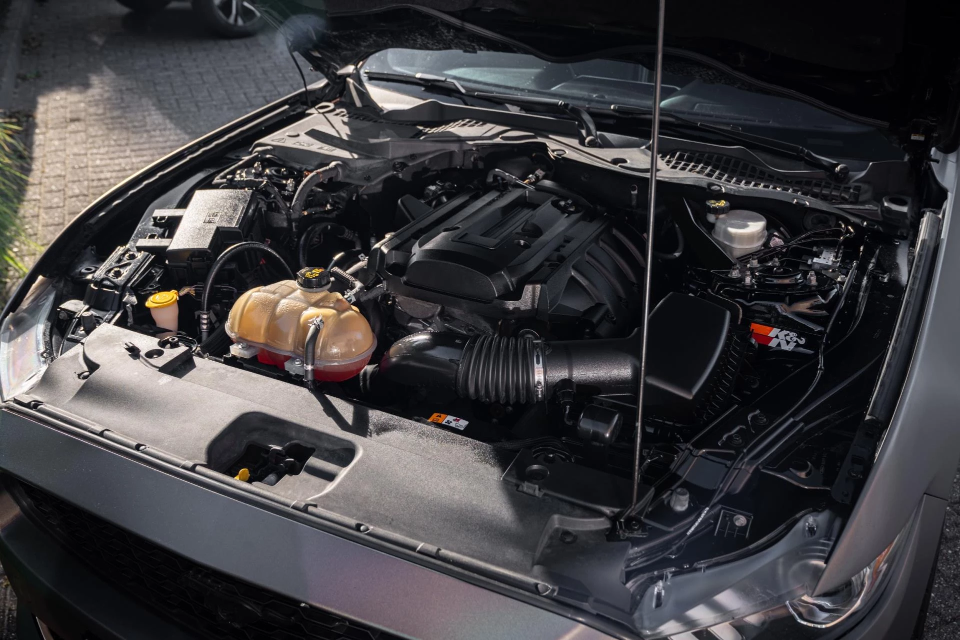 Hoofdafbeelding Ford Mustang