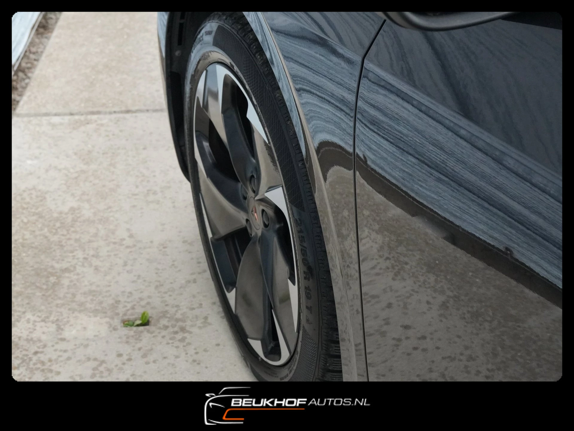 Hoofdafbeelding CUPRA Born