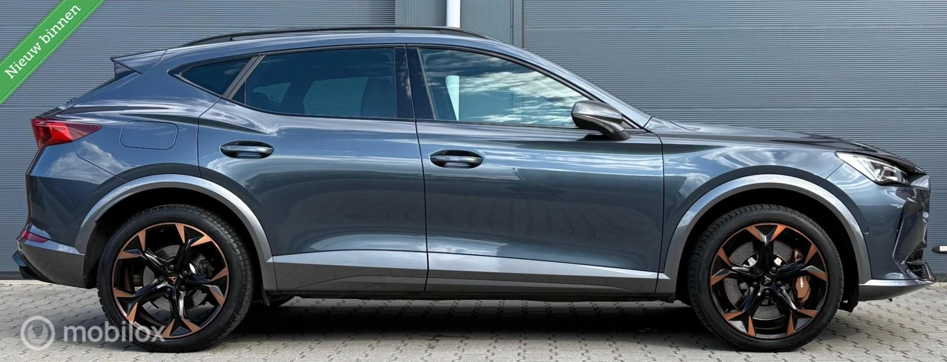 Hoofdafbeelding CUPRA Formentor