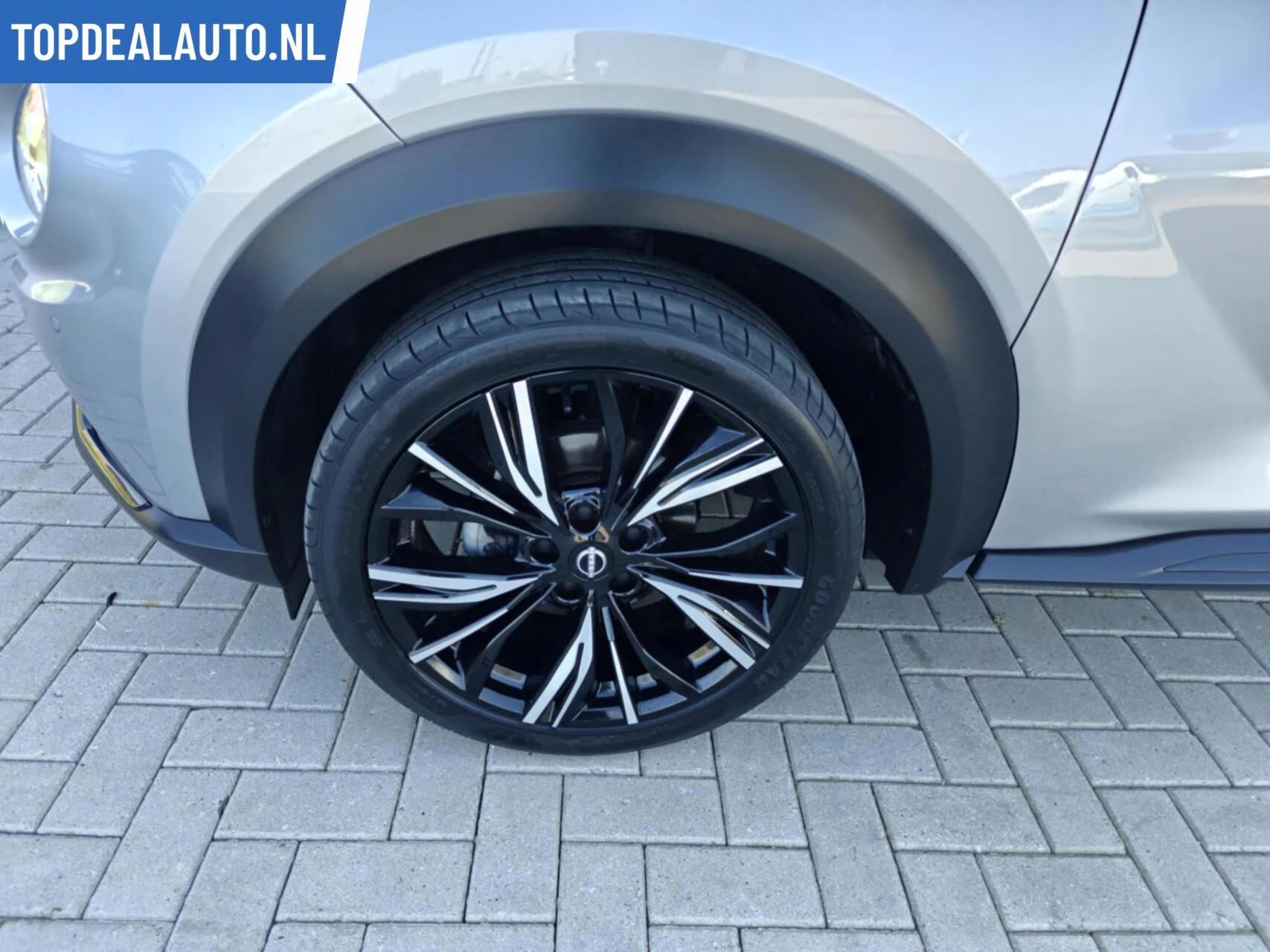 Hoofdafbeelding Nissan Juke