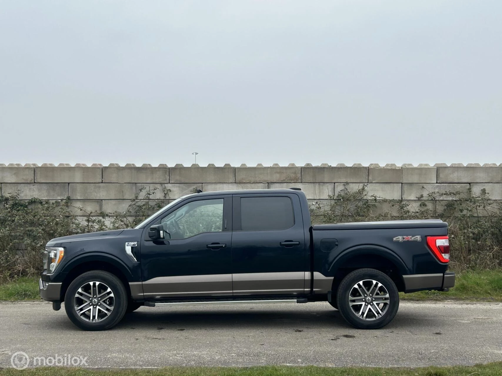 Hoofdafbeelding Ford F-150