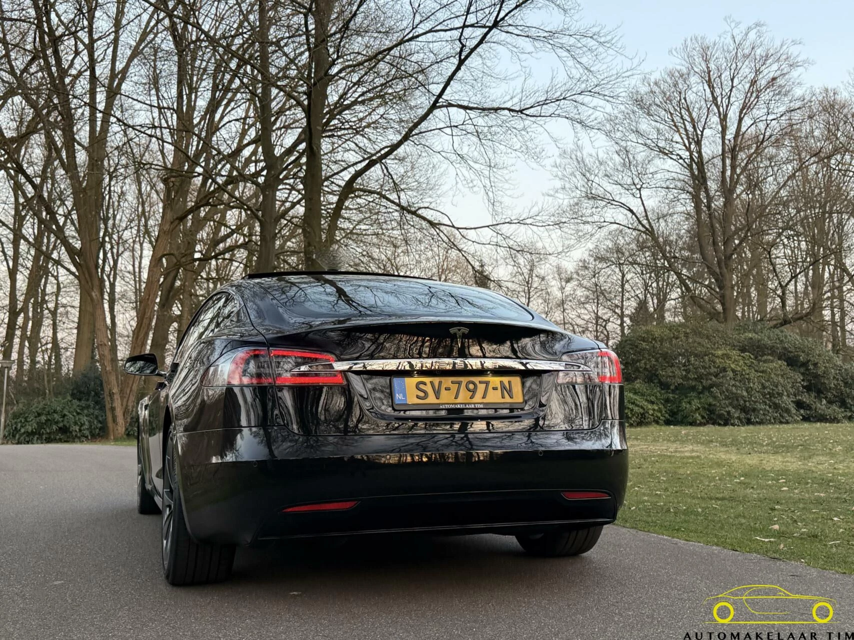 Hoofdafbeelding Tesla Model S